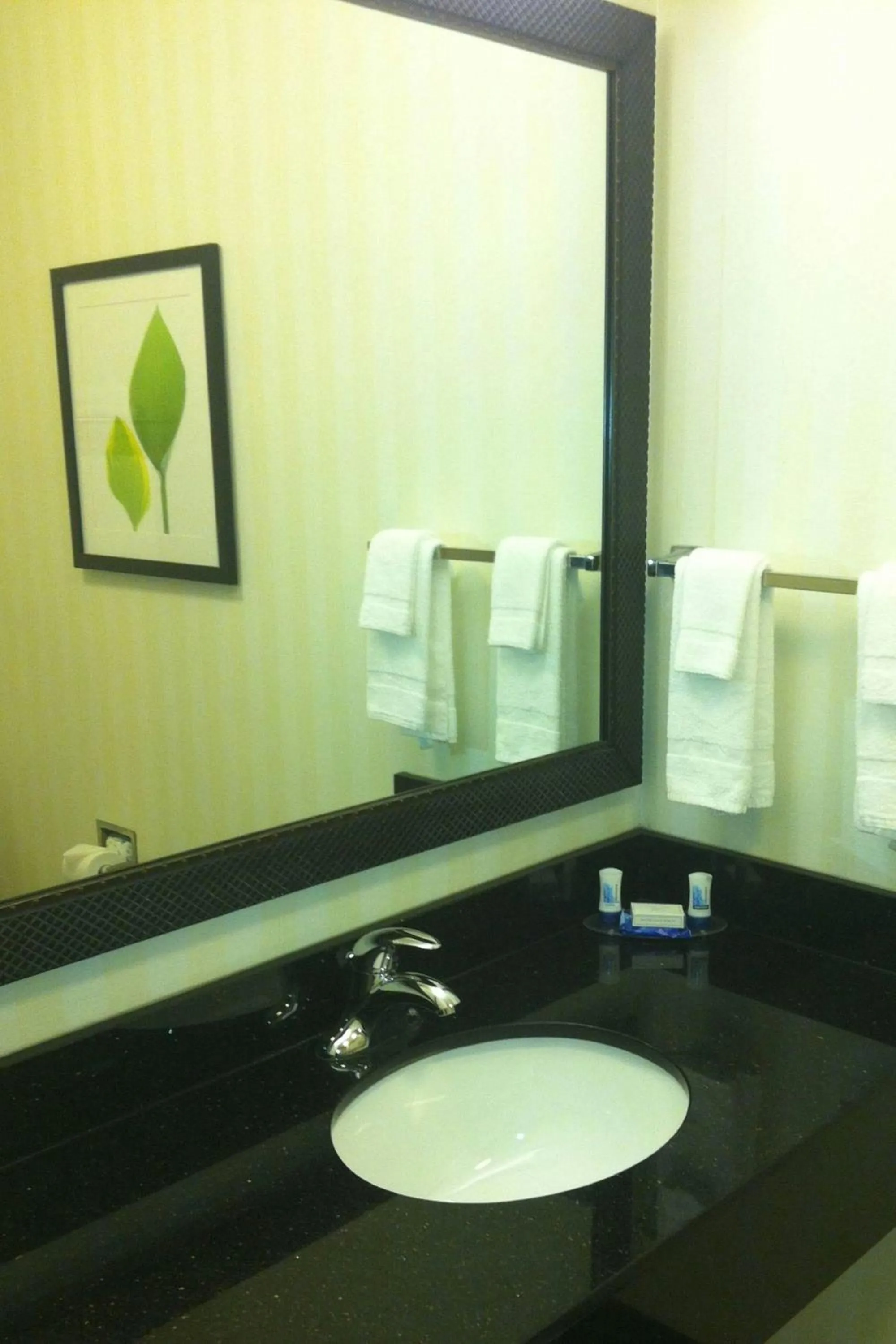 Bathroom in Fairfield Inn & Suites Milledgeville