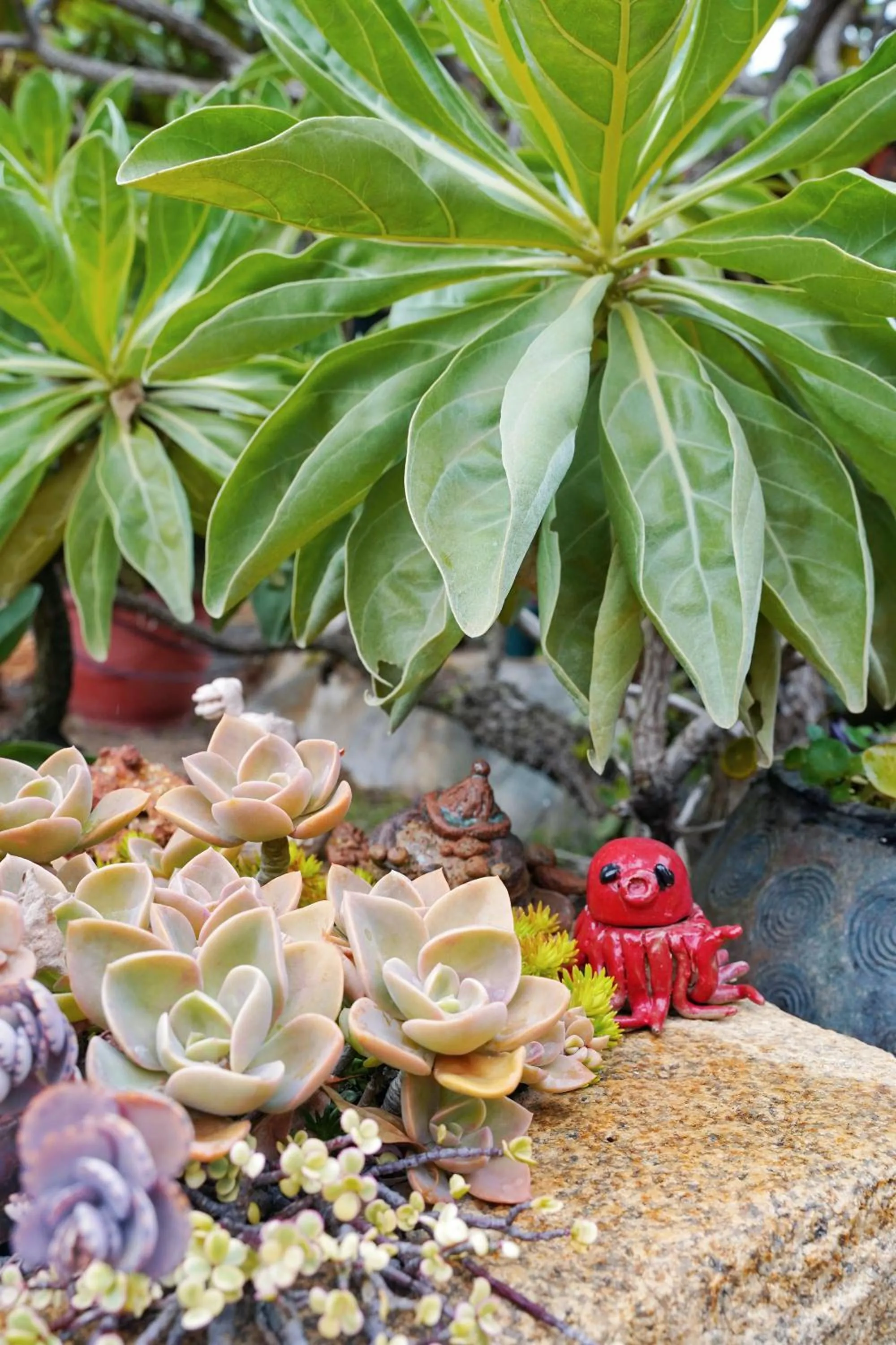 夏之戀民宿 可包棟 近金城市區