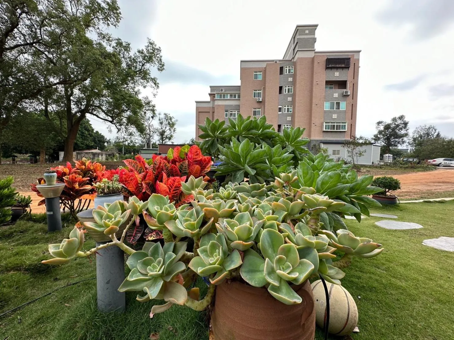 Garden view in 夏之戀民宿 可包棟 近金城市區
