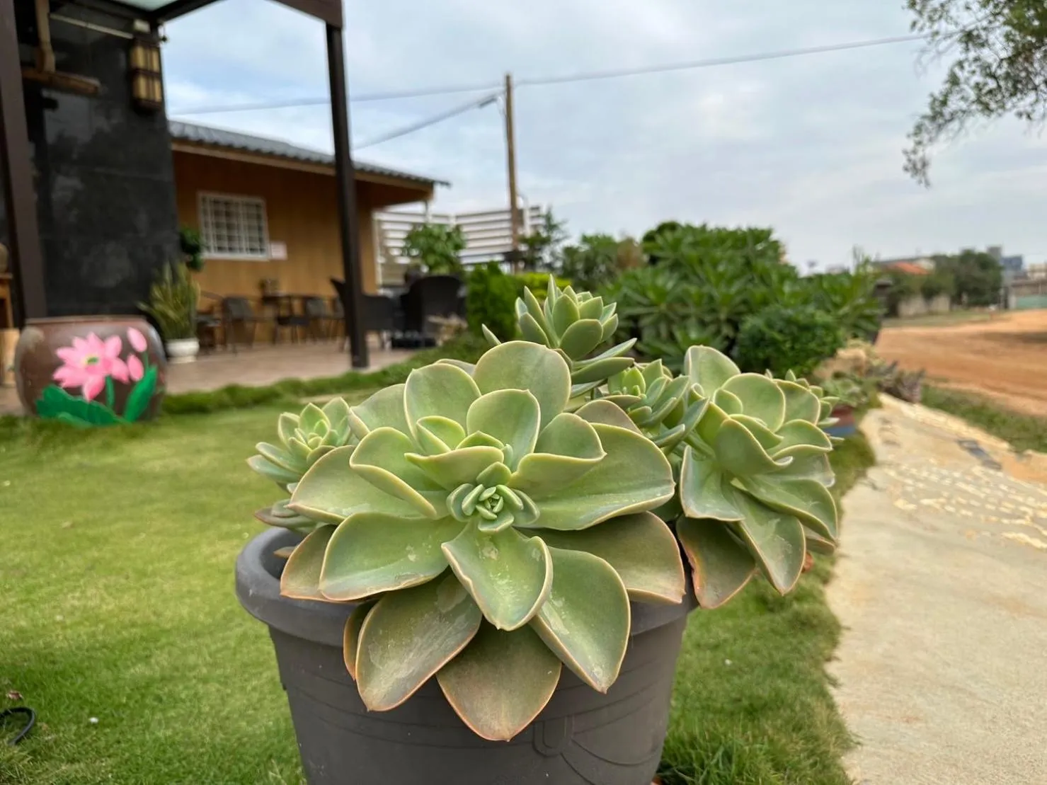 Property building in 夏之戀民宿 可包棟 近金城市區