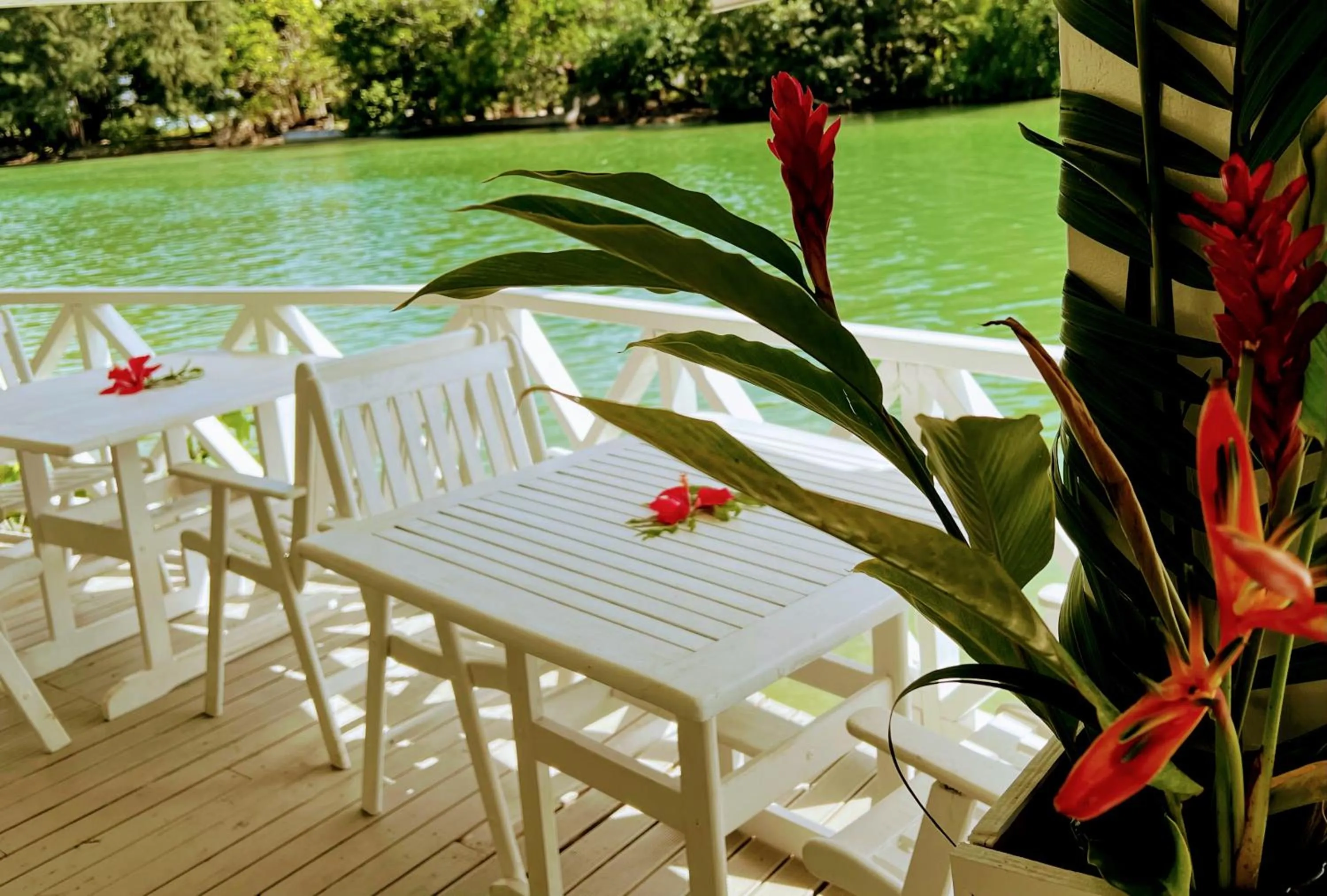 Restaurant/places to eat in Tropicana Lagoon Apartments