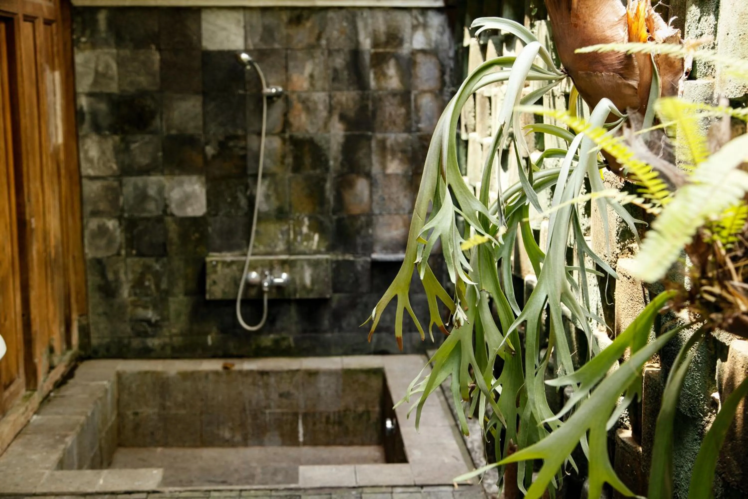 Tembi - Historical Home