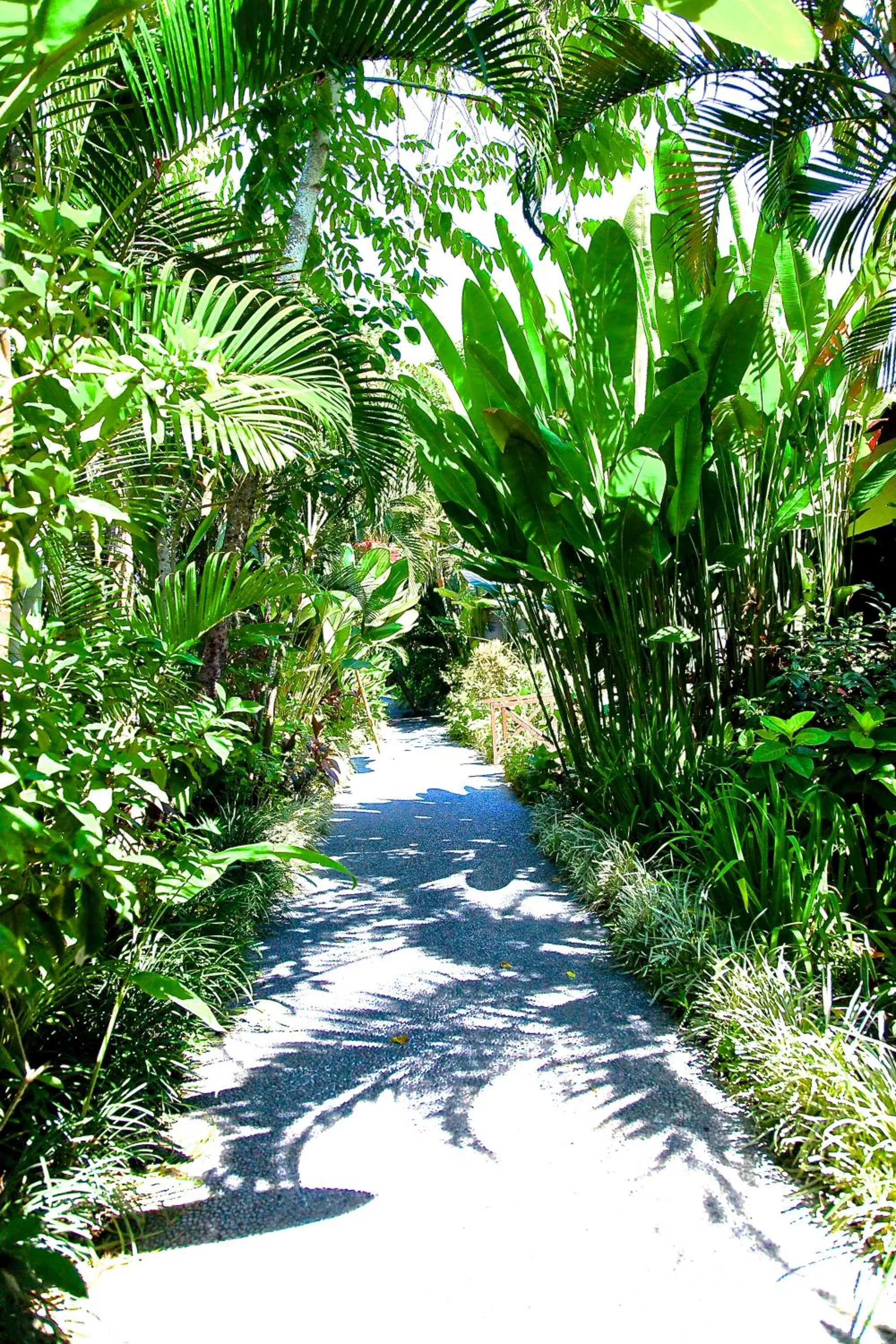 Garden in Anginsepoi