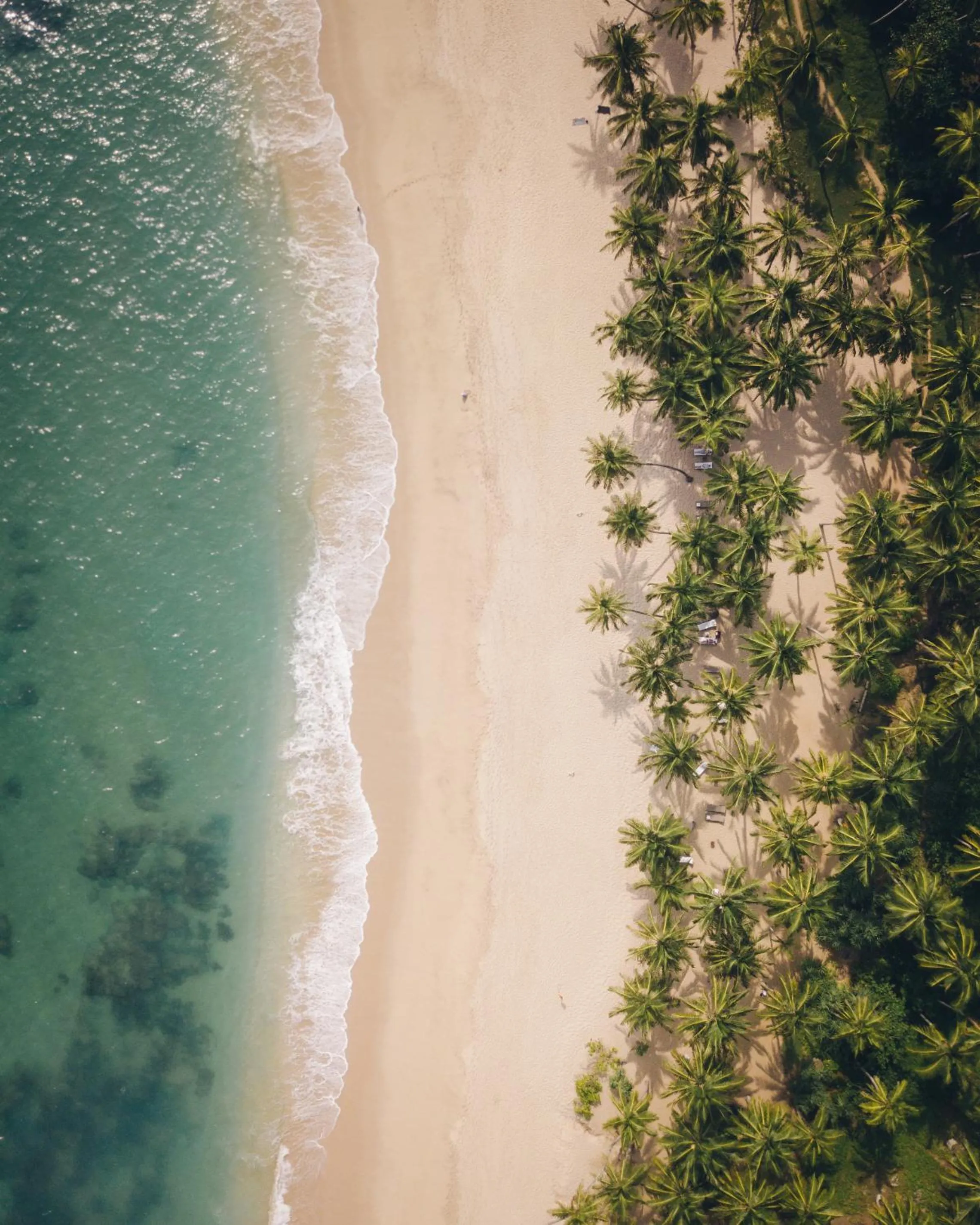 Beach in Taru Villas - The Muse - Bentota