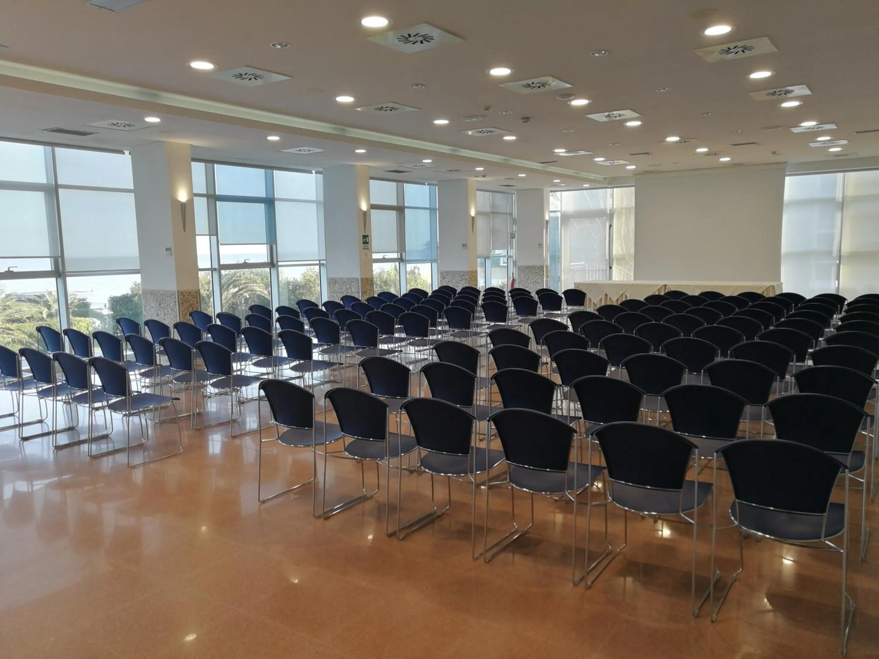 Business facilities in Hermitage Hotel