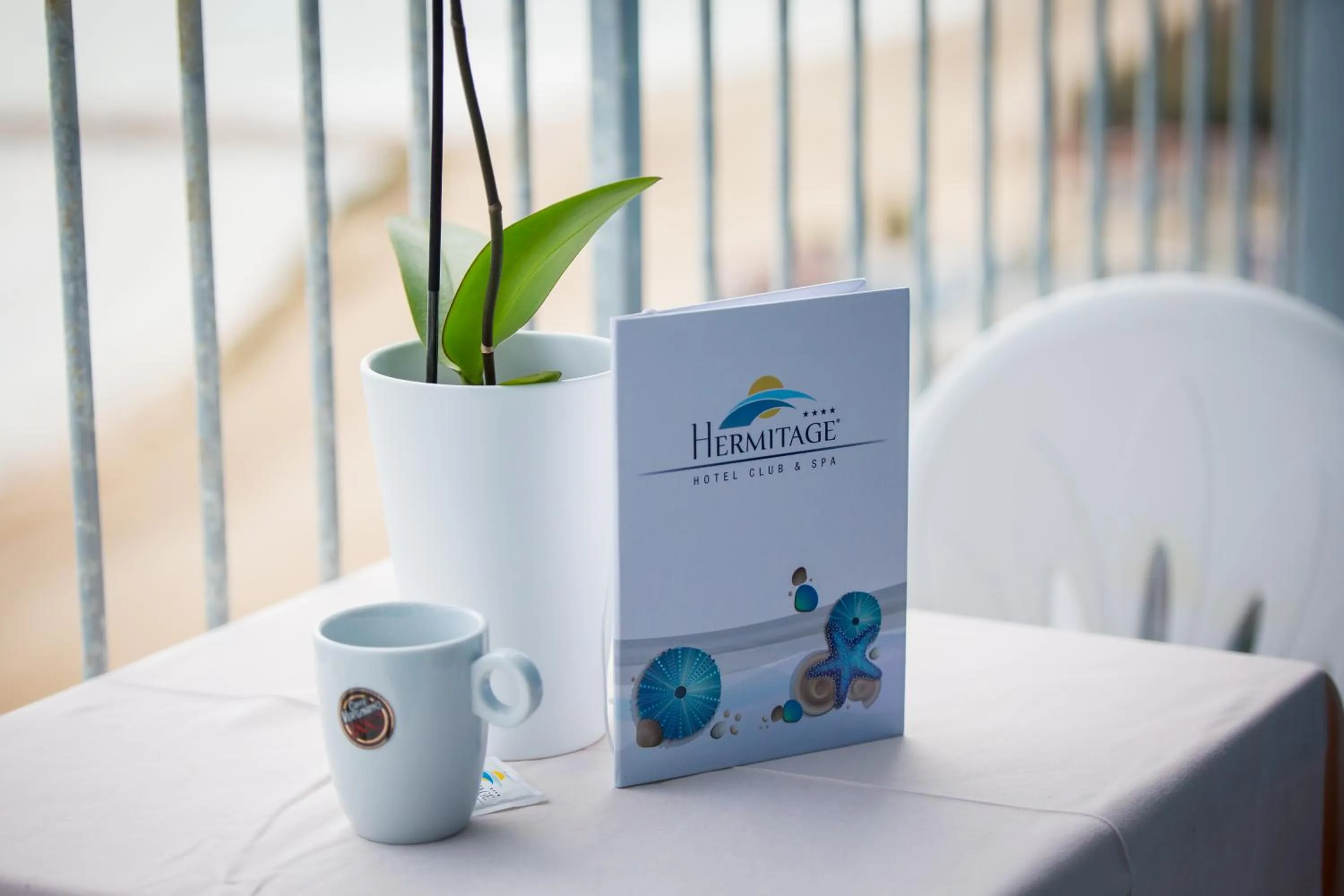 Balcony/Terrace in Hermitage Hotel