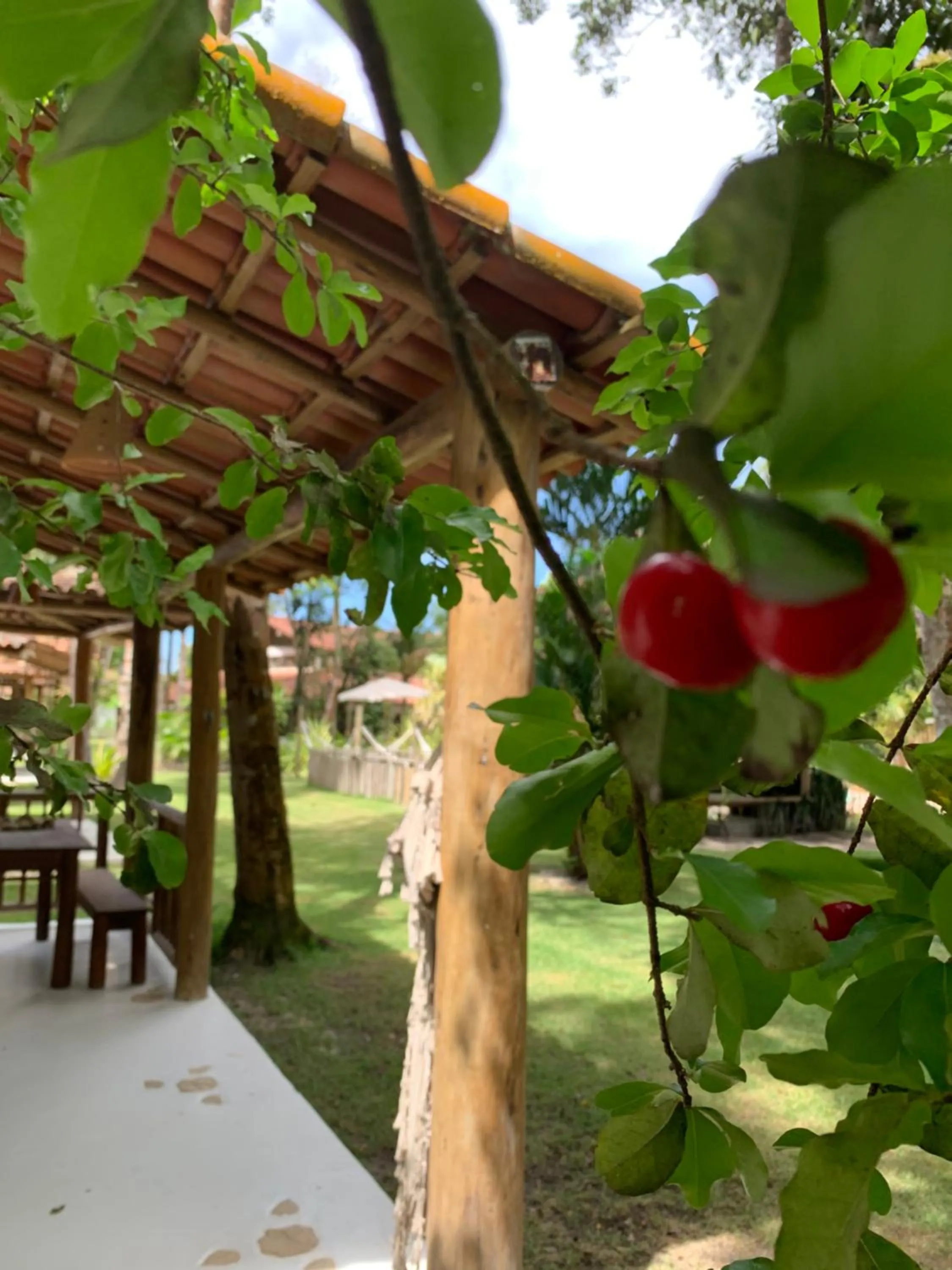 Cheiro Nativo - Chalés & Pousada