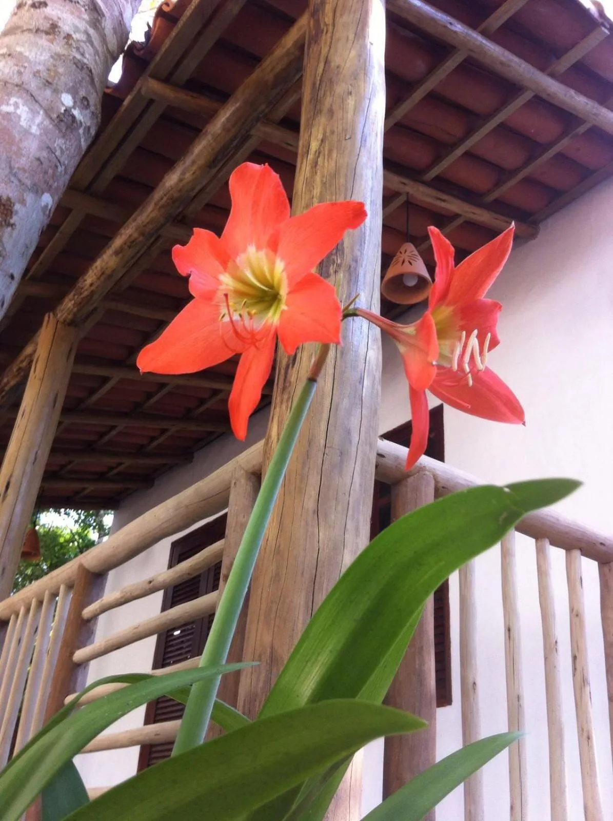 Property building in Cheiro Nativo - Chalés & Pousada