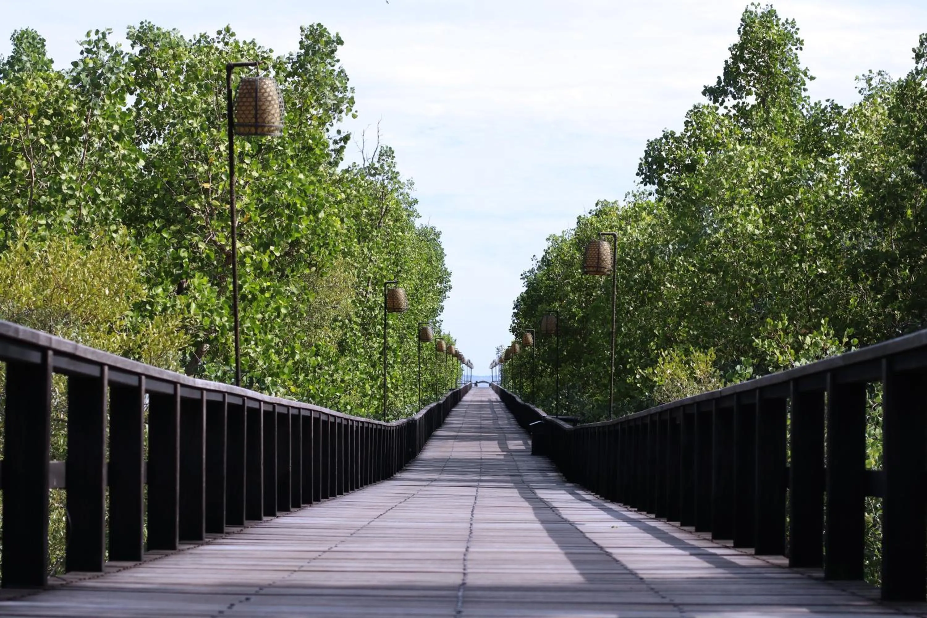 Natural landscape in Grand Luley Manado