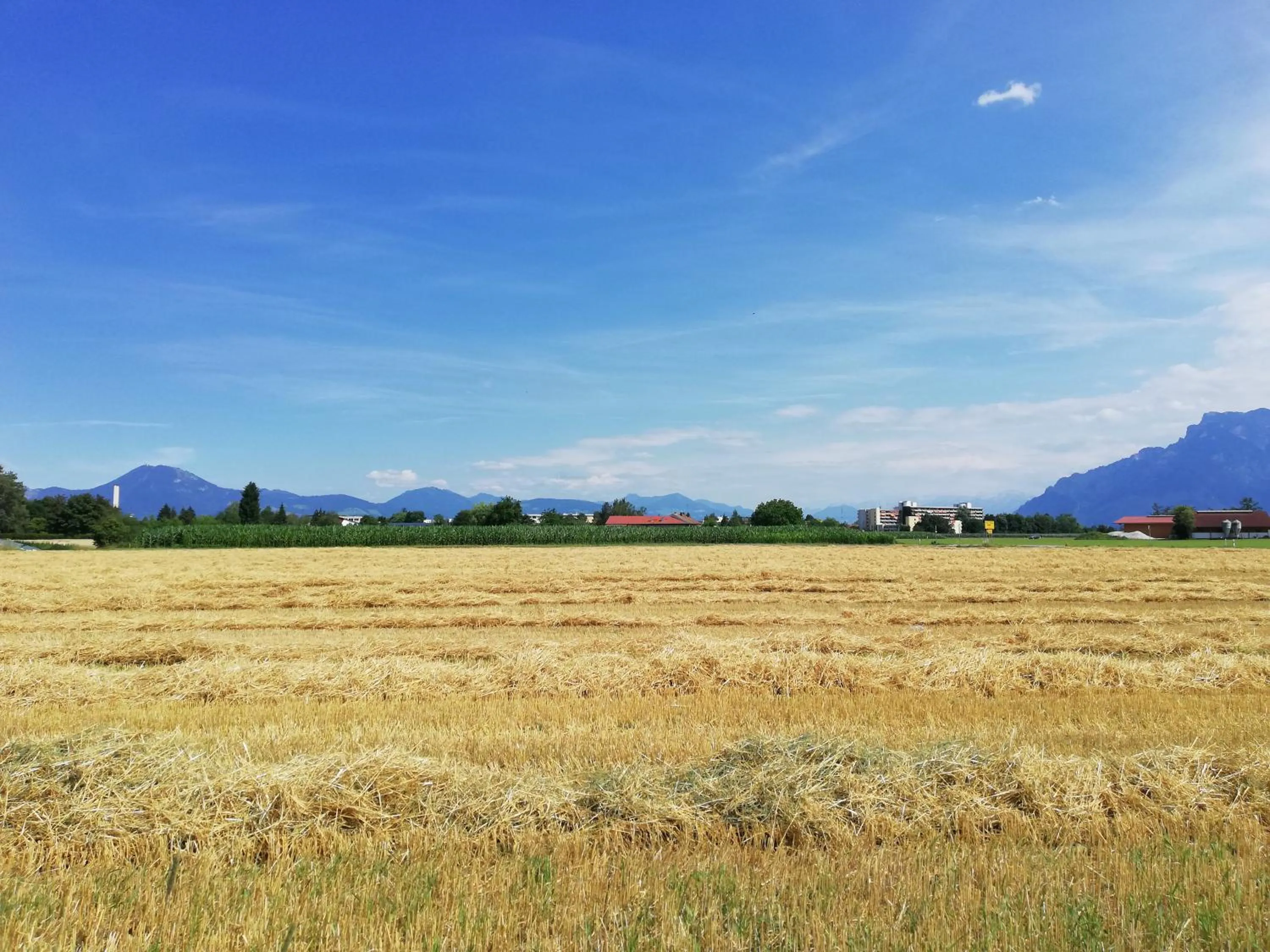 Day in Hotel Schaider