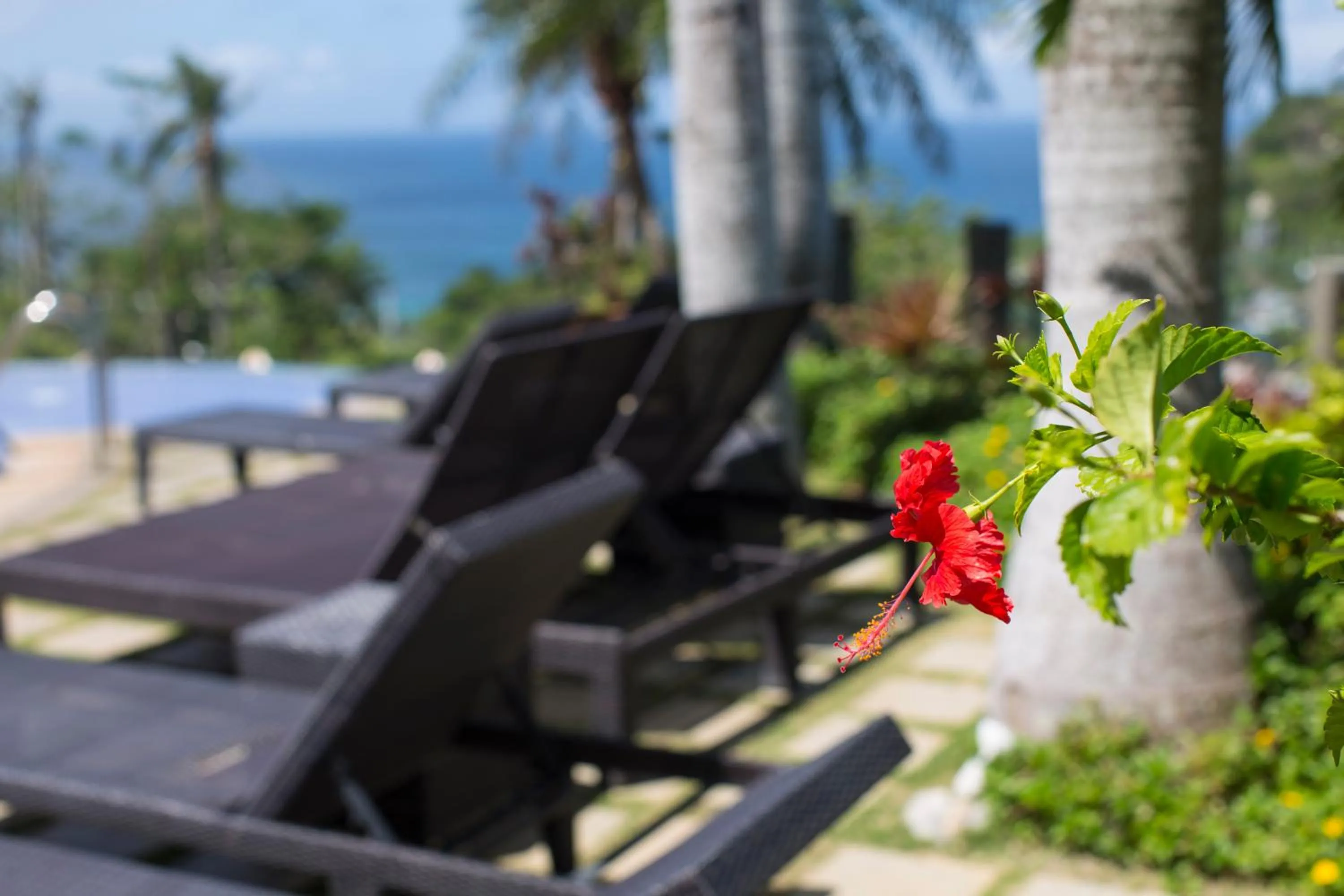 Sea view in Hotel Soffia