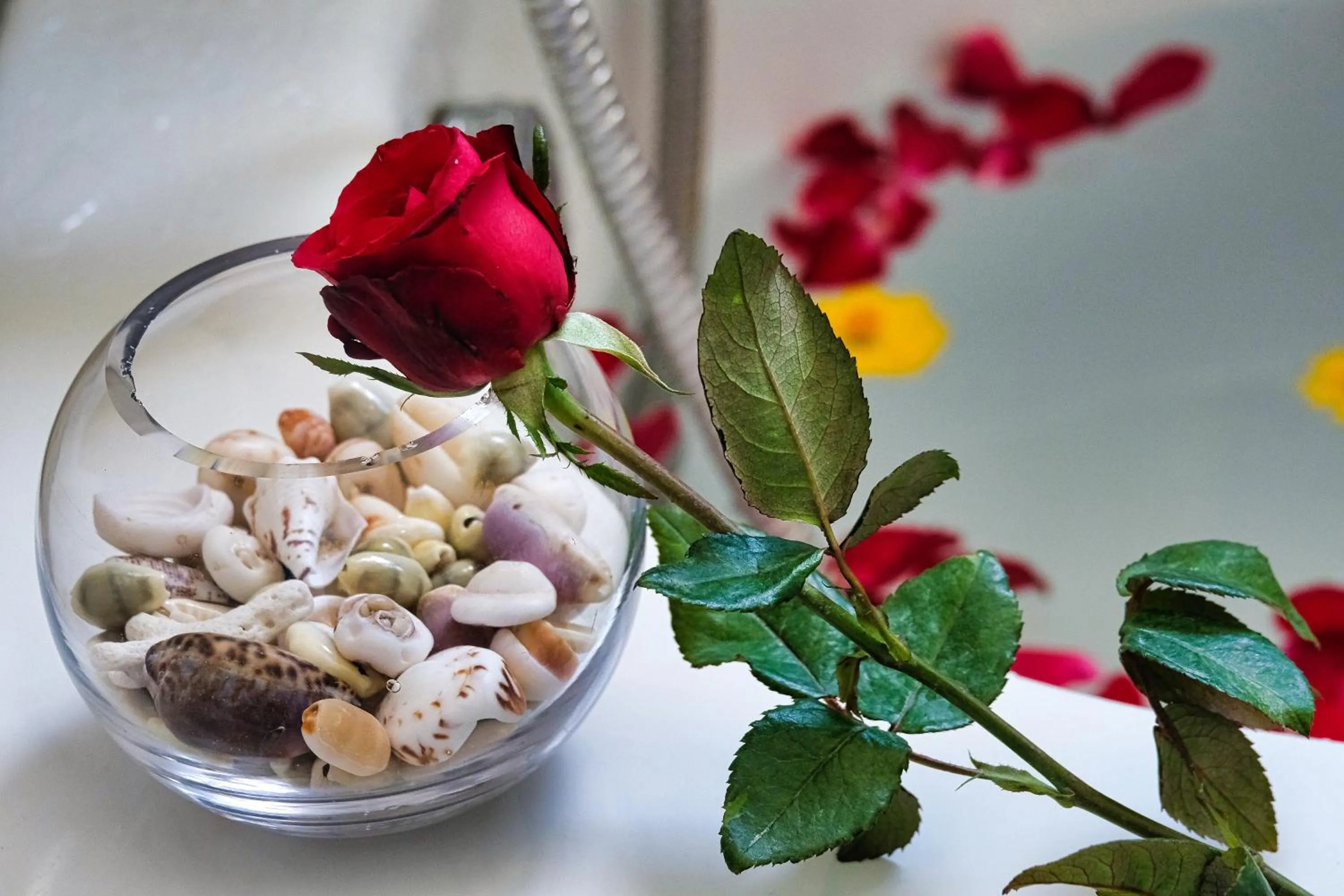 Other in Hotel Soffia