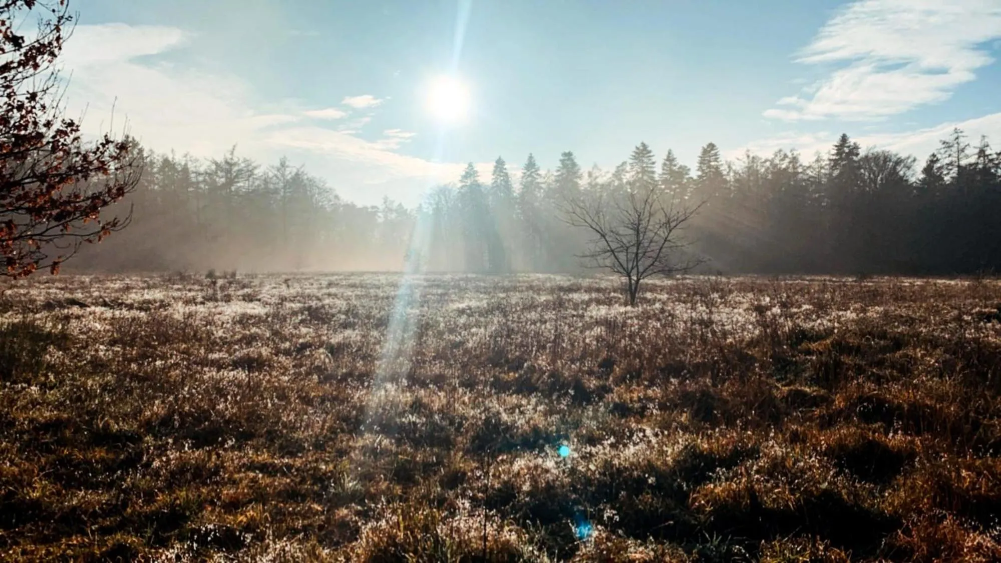 Neighbourhood in Hotel Restaurant Ruimzicht