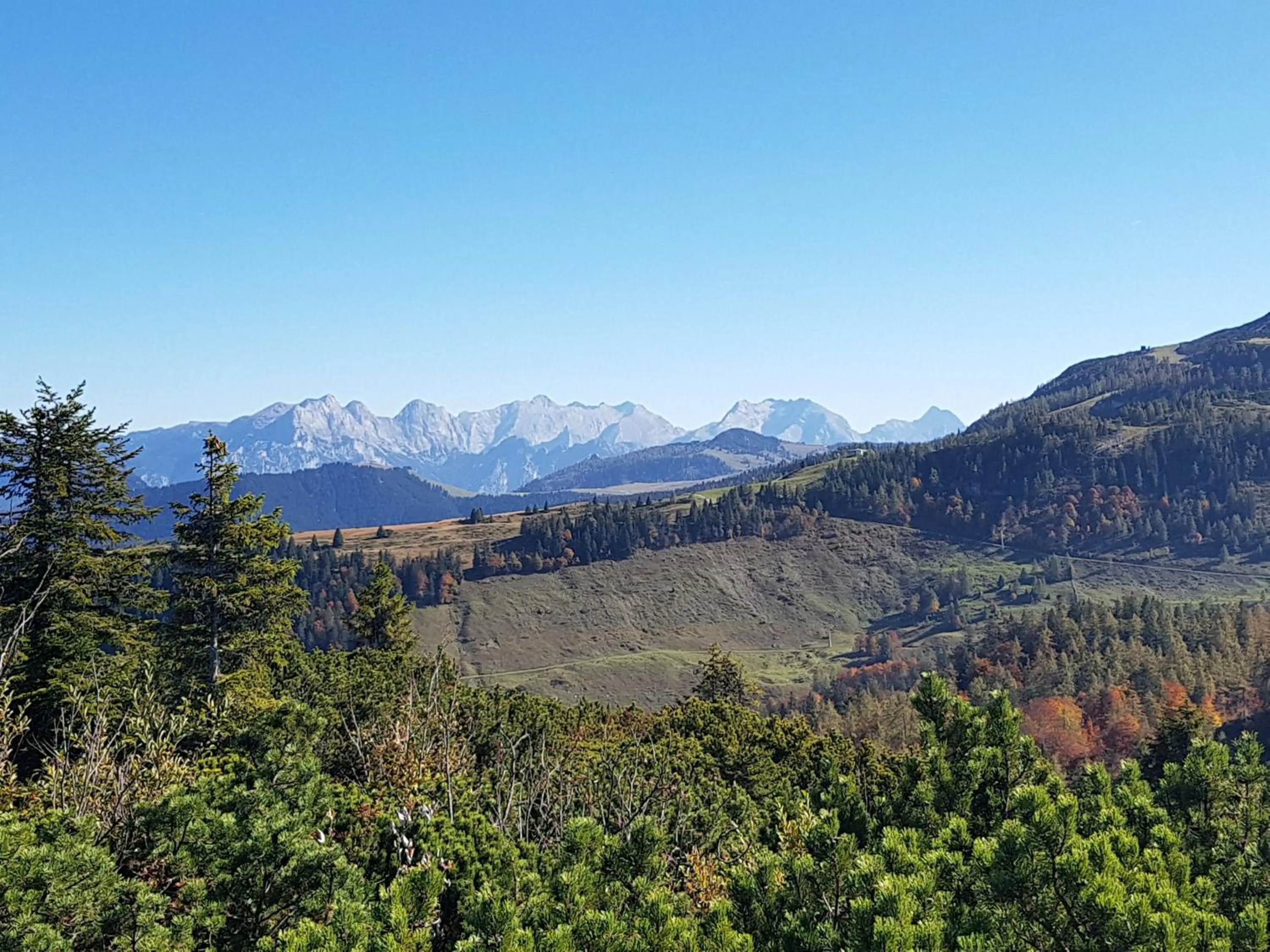 Natural landscape in Hotel Sendlhof