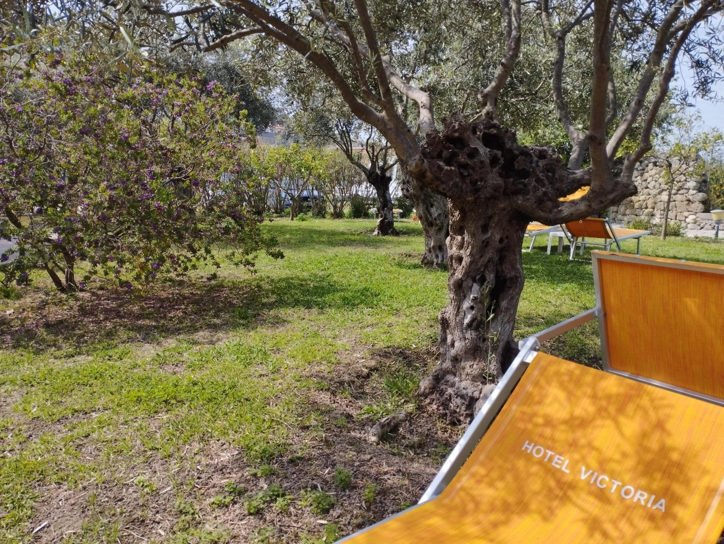 Communal lounge/ TV room in Hotel Park Victoria