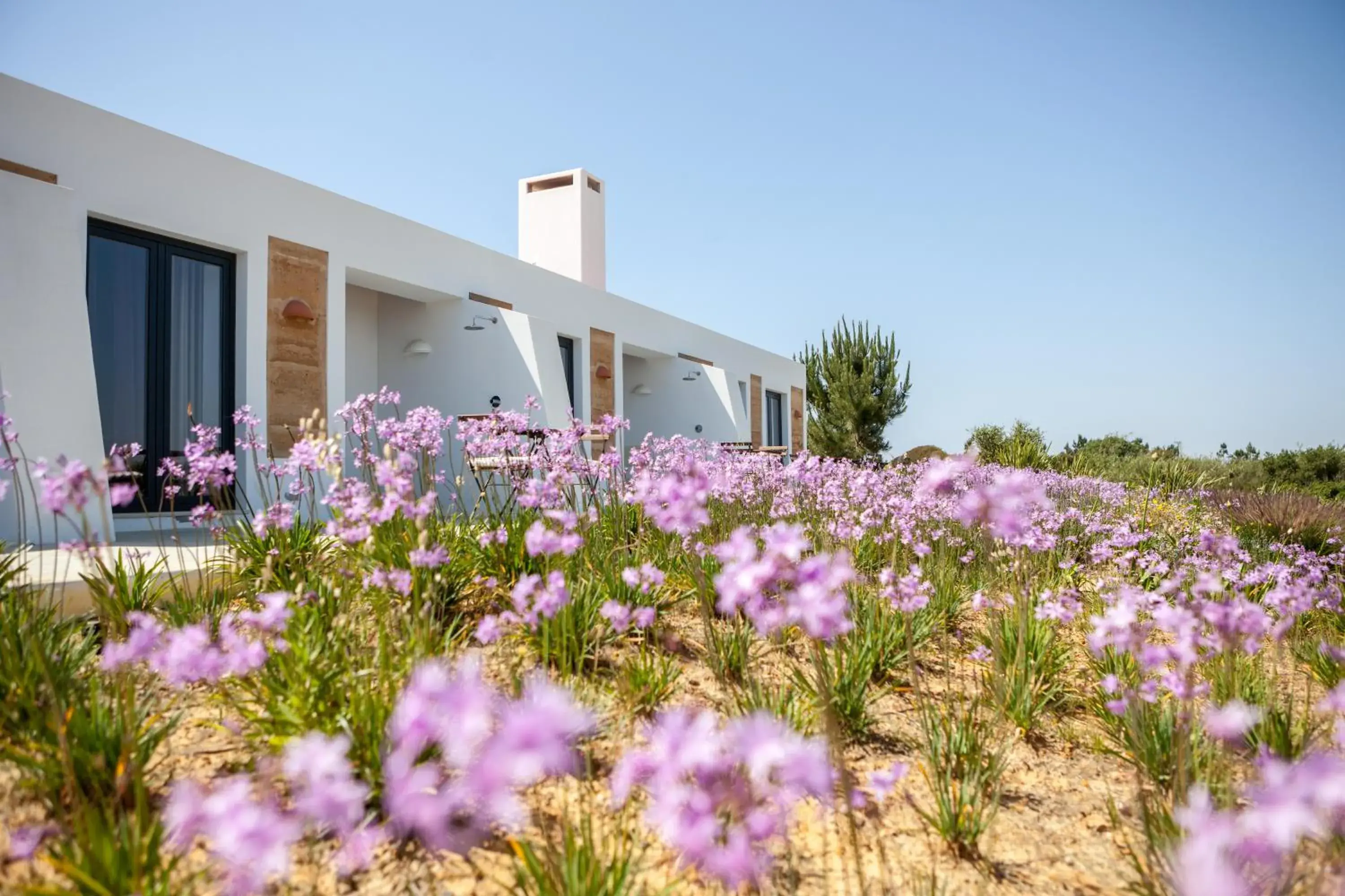 Deluxe King Room in Monte Do Zambujeiro Deluxe King Room in Monte Do Zambujeiro