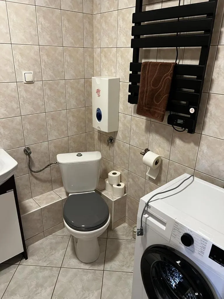 Toilet in Delta Apart-House