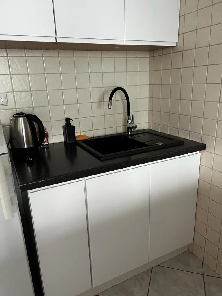 Kitchen or kitchenette in Delta Apart-House