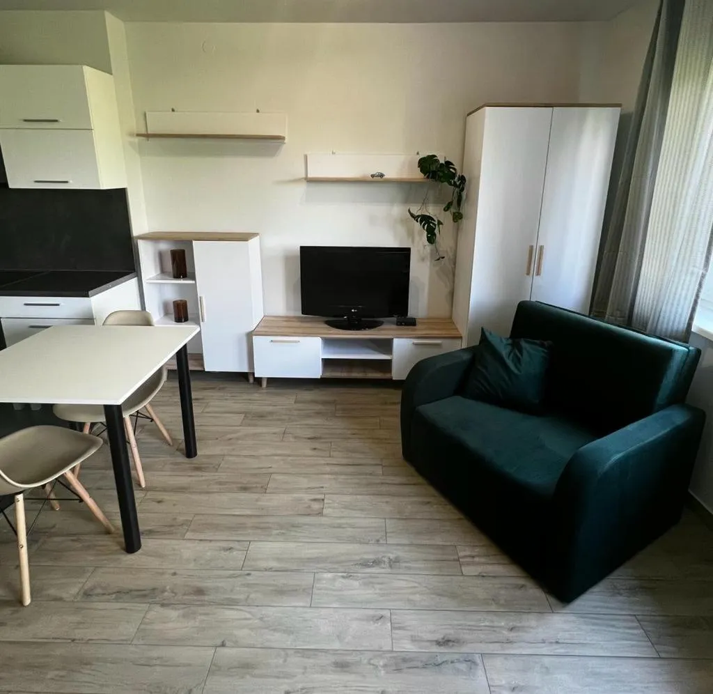 Communal lounge/ TV room in Delta Apart-House