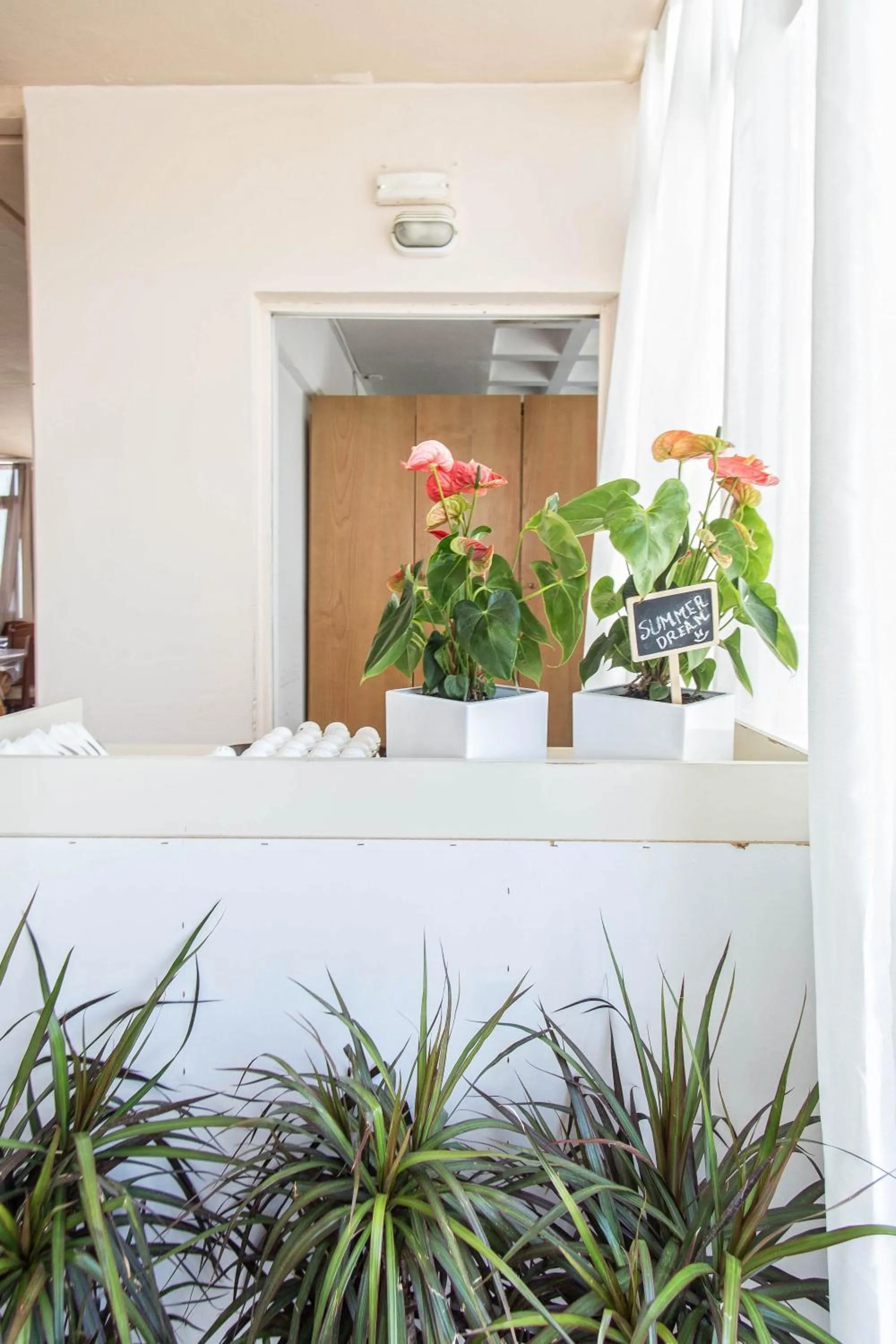 Area and facilities in Summer Dream