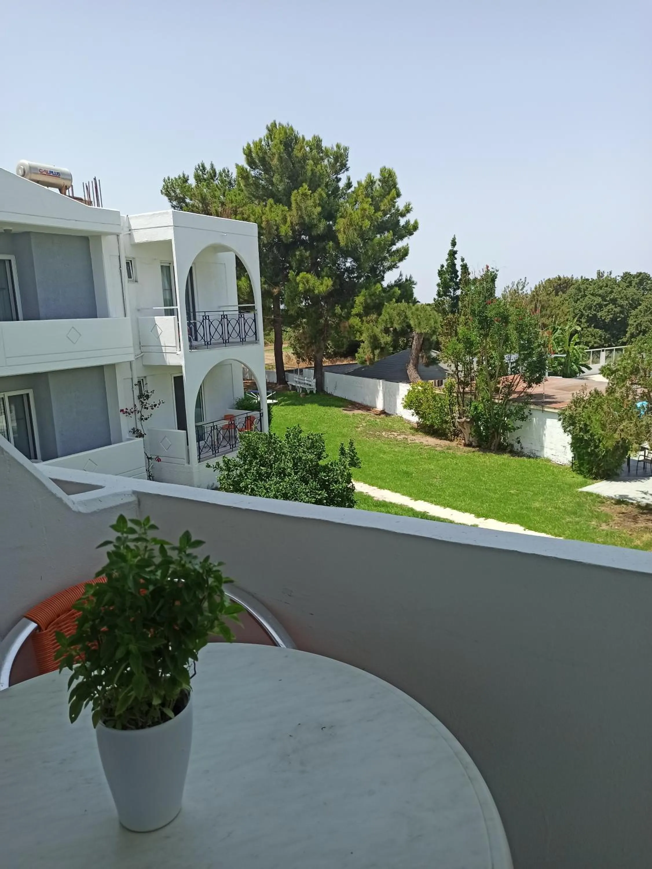 Balcony/Terrace in Summer Dream