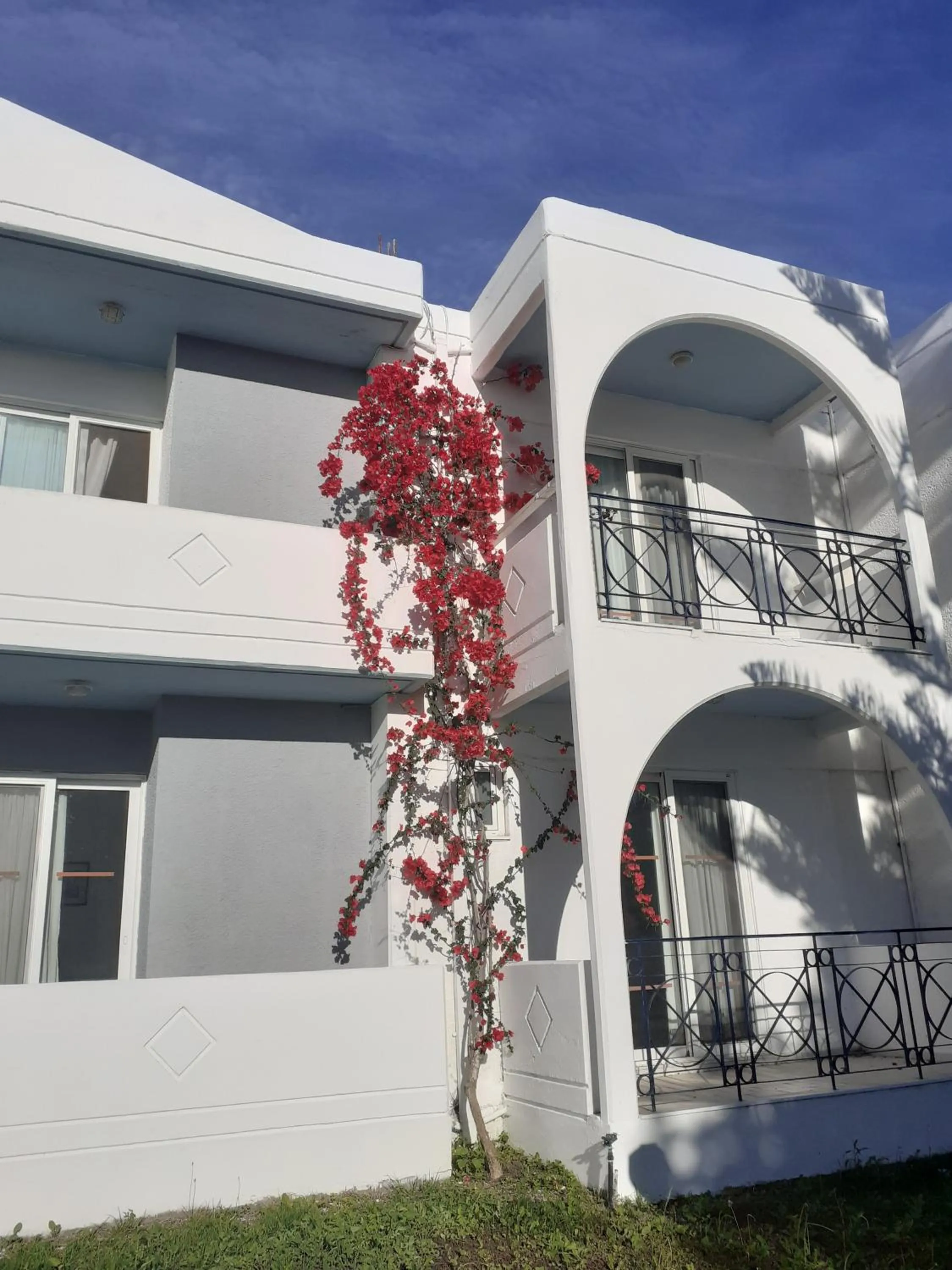 Balcony/Terrace in Summer Dream