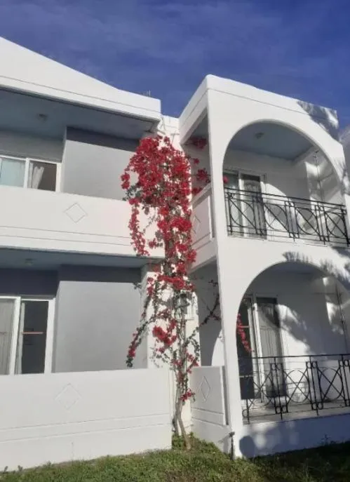 Property building in Summer Dream