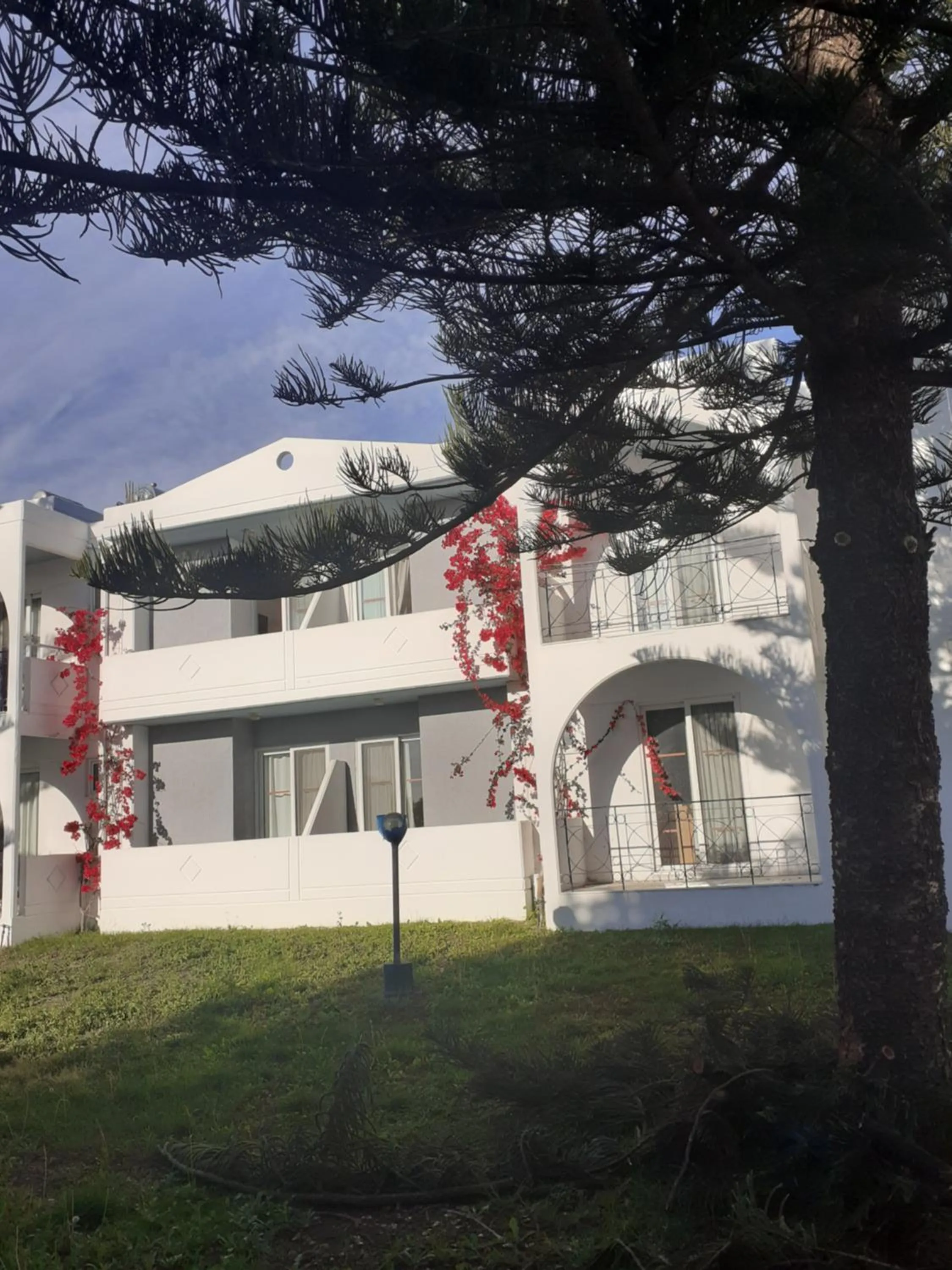 Garden view in Summer Dream