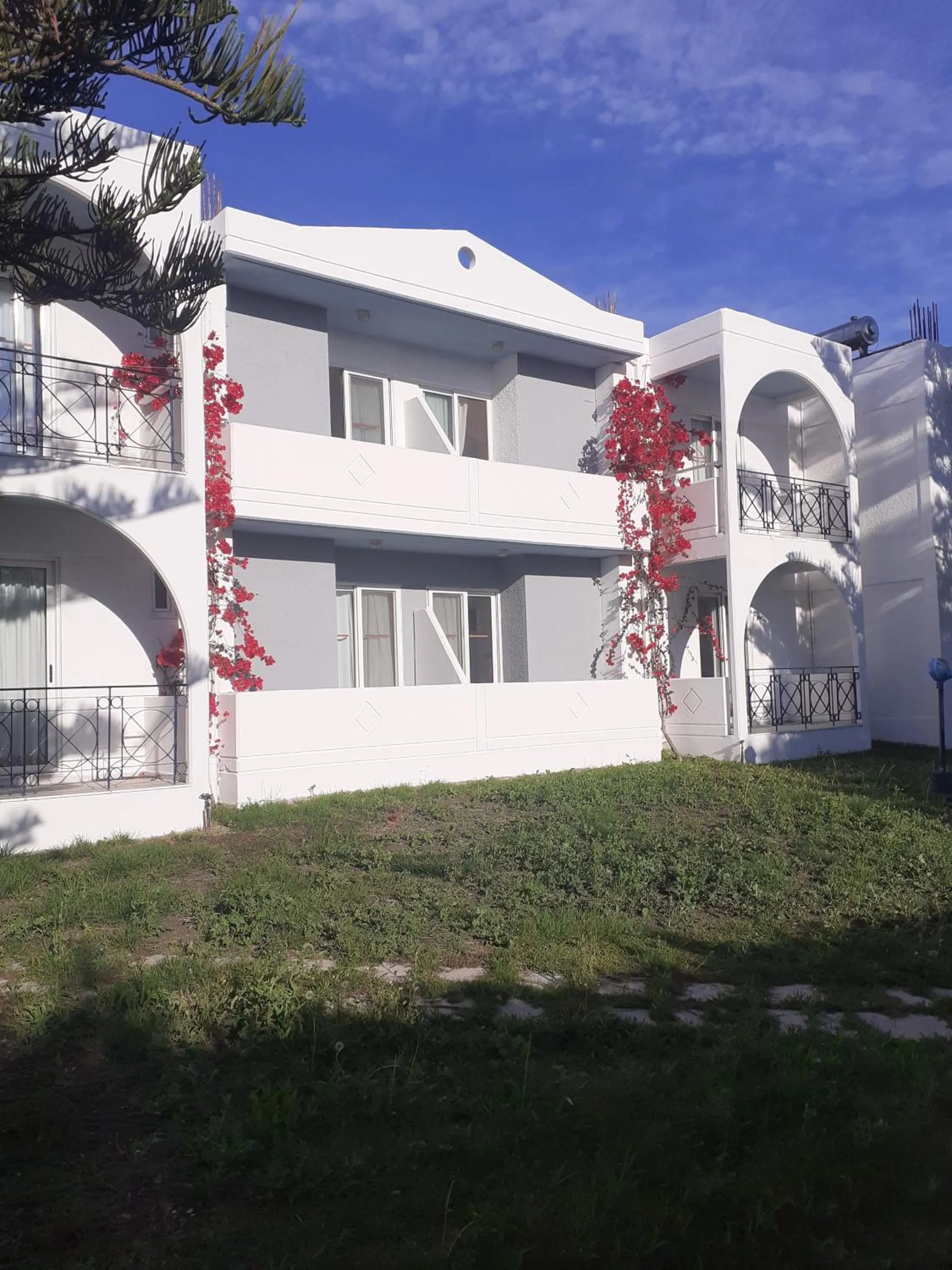 Garden view in Summer Dream