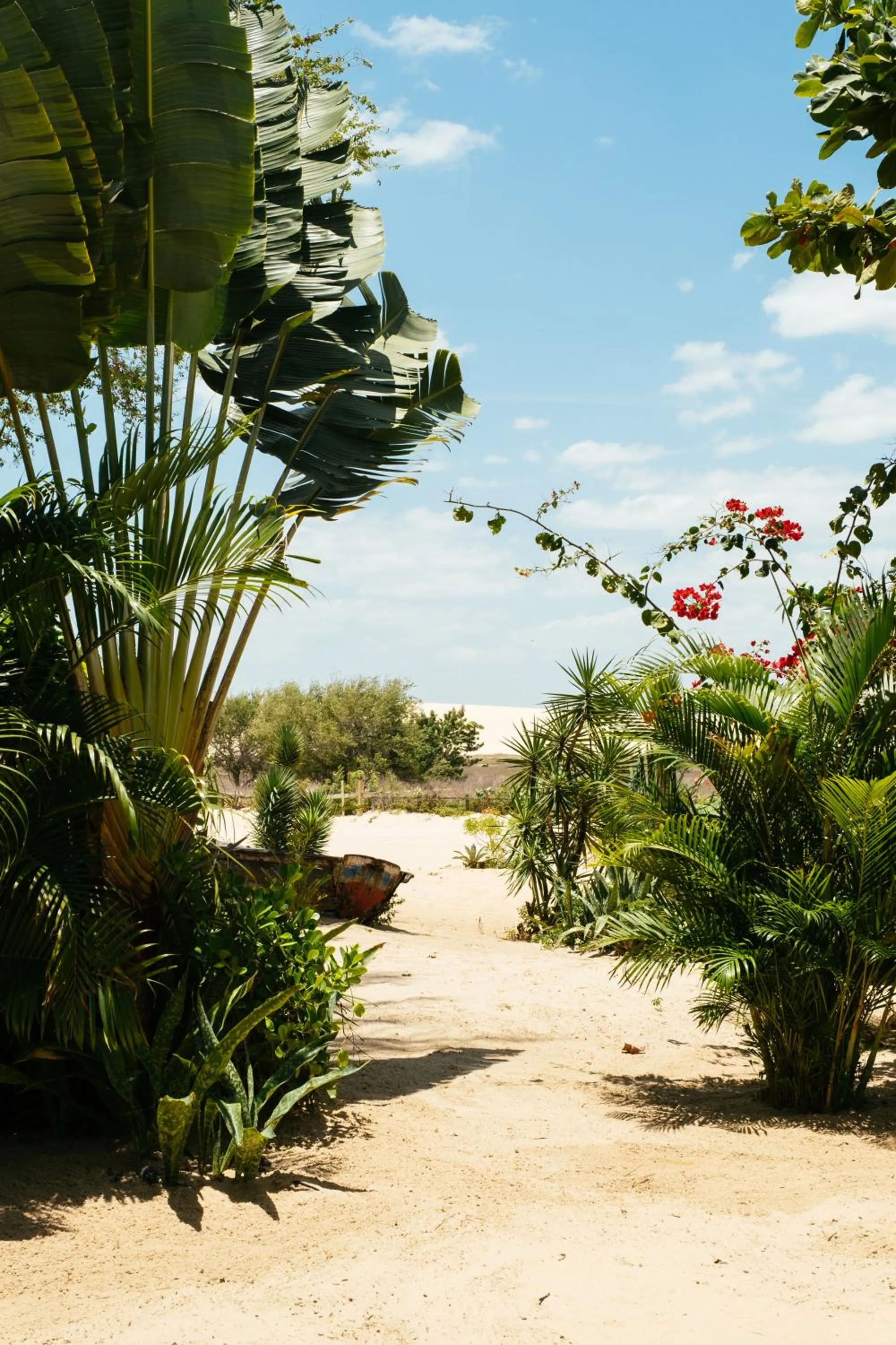 Day in Villa Praia - La Villa Group