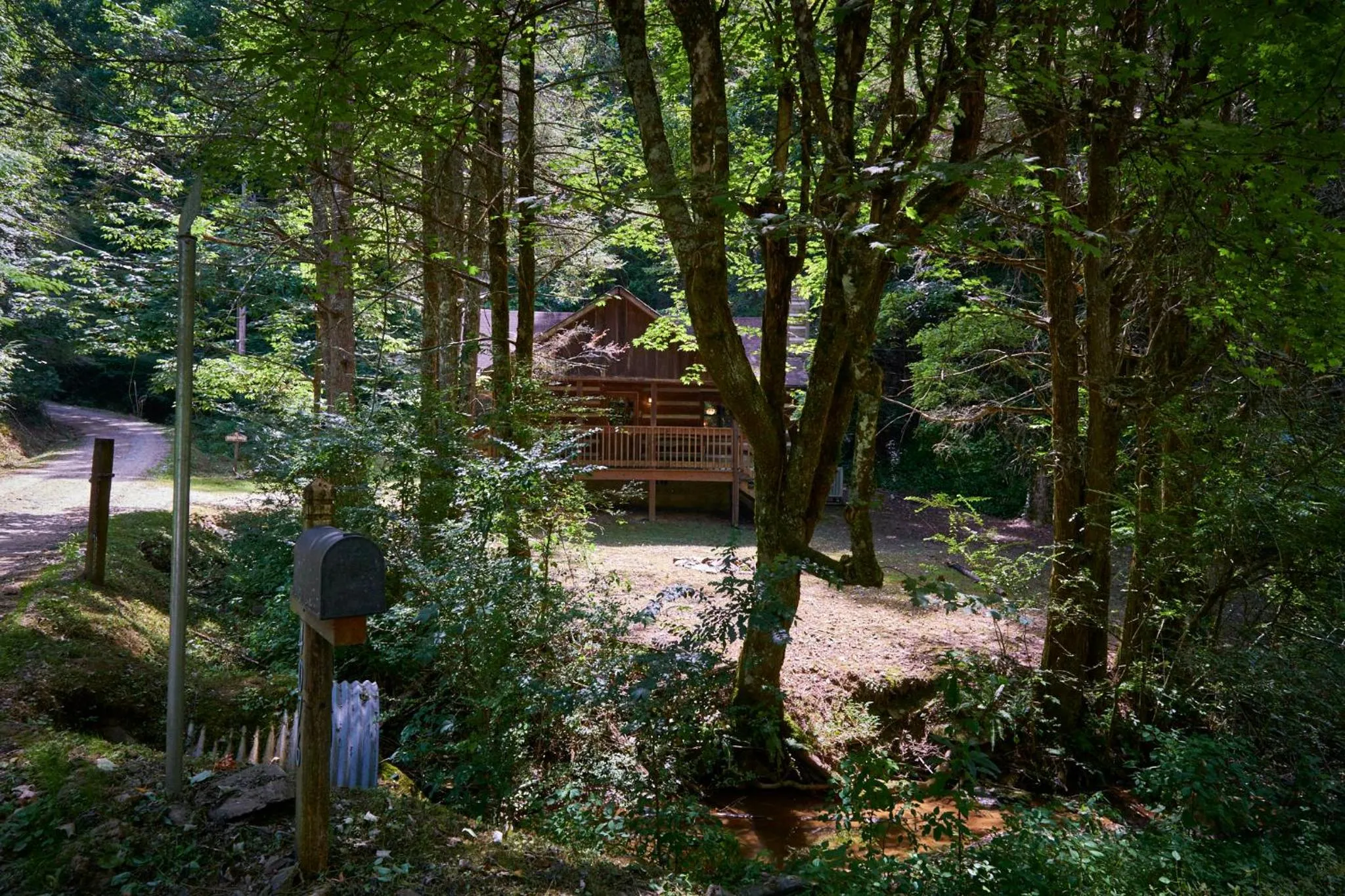 A Cabin In The Woods