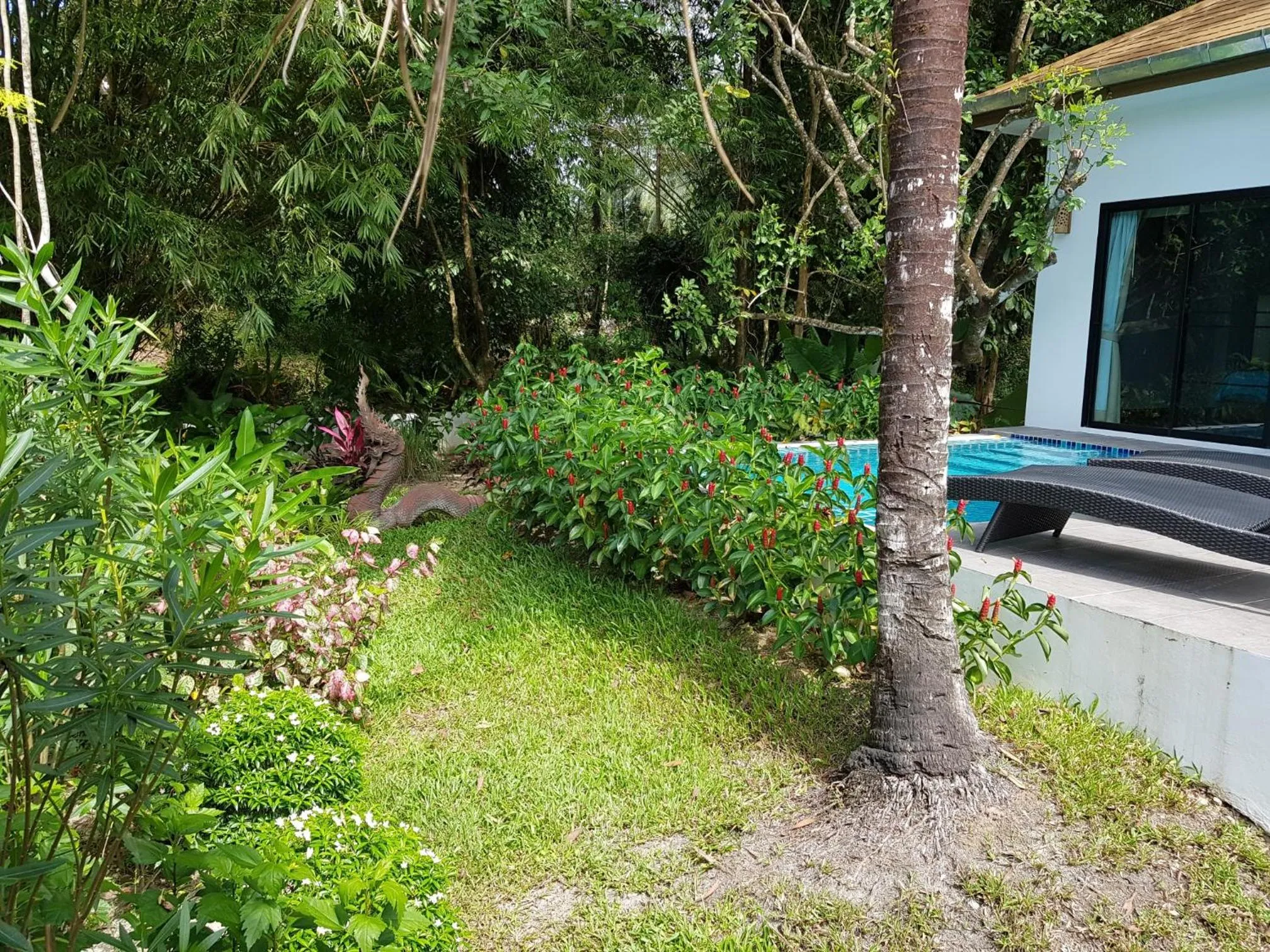 Garden in Exotic Boutique Hotel