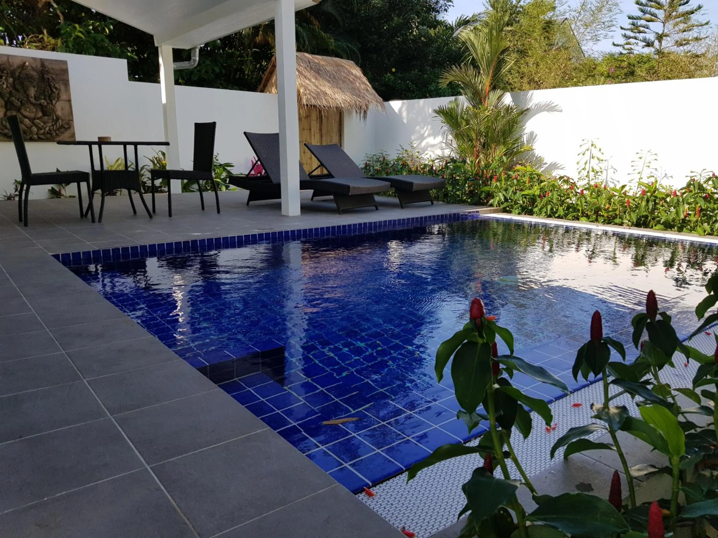 Pool view in Exotic Boutique Hotel