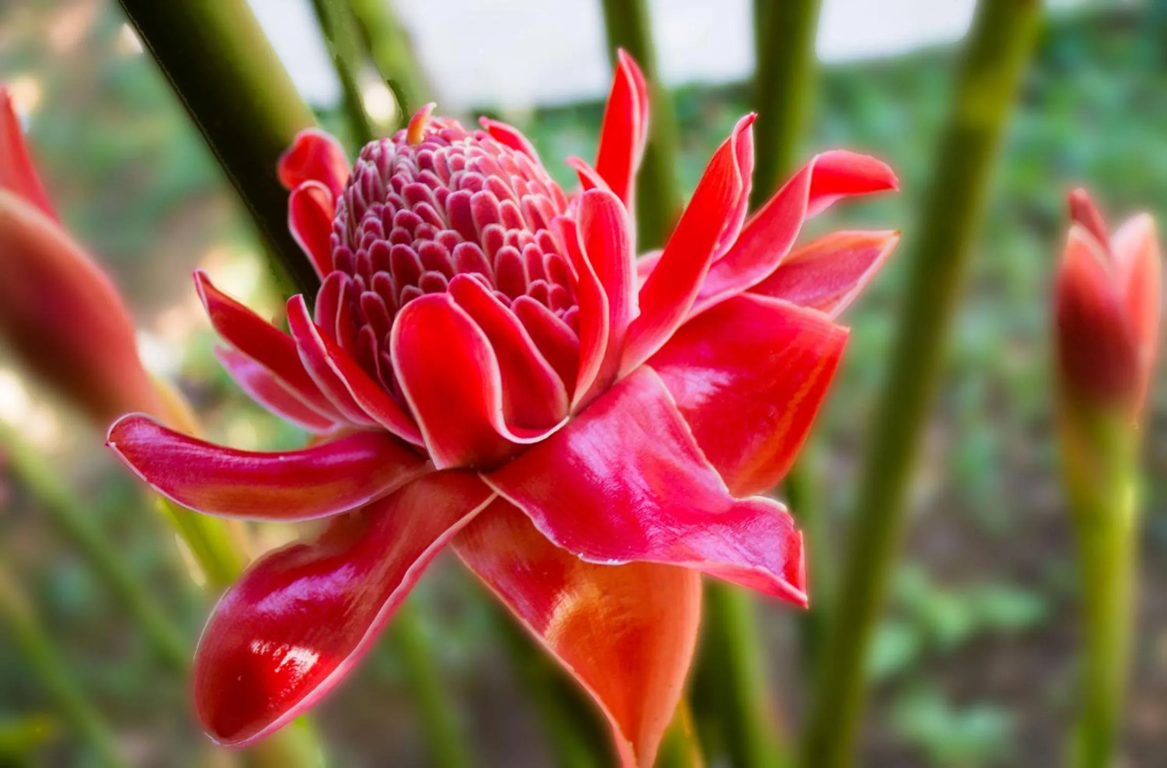 Natural landscape in Exotic Boutique Hotel