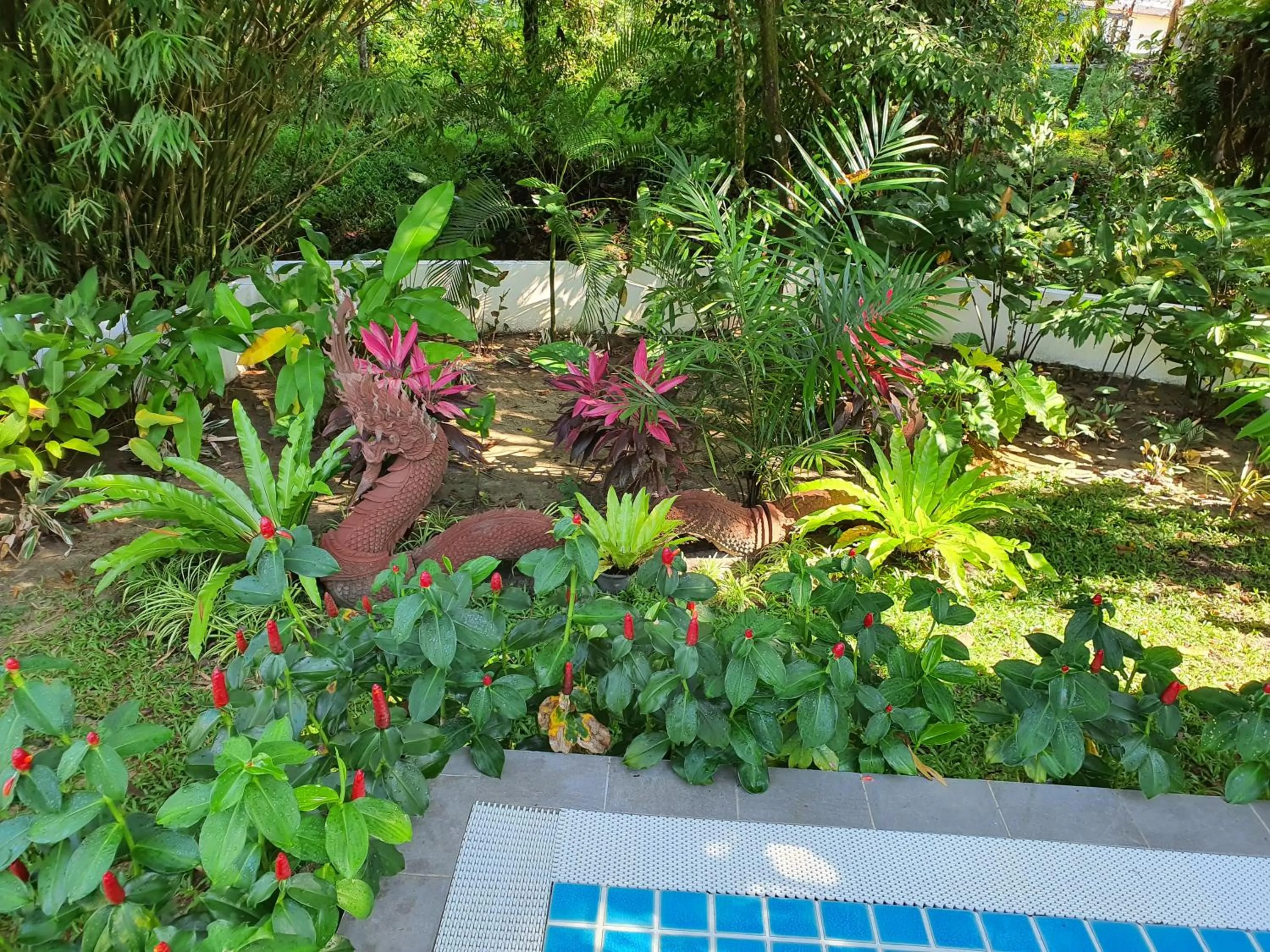 Exotic Boutique Hotel