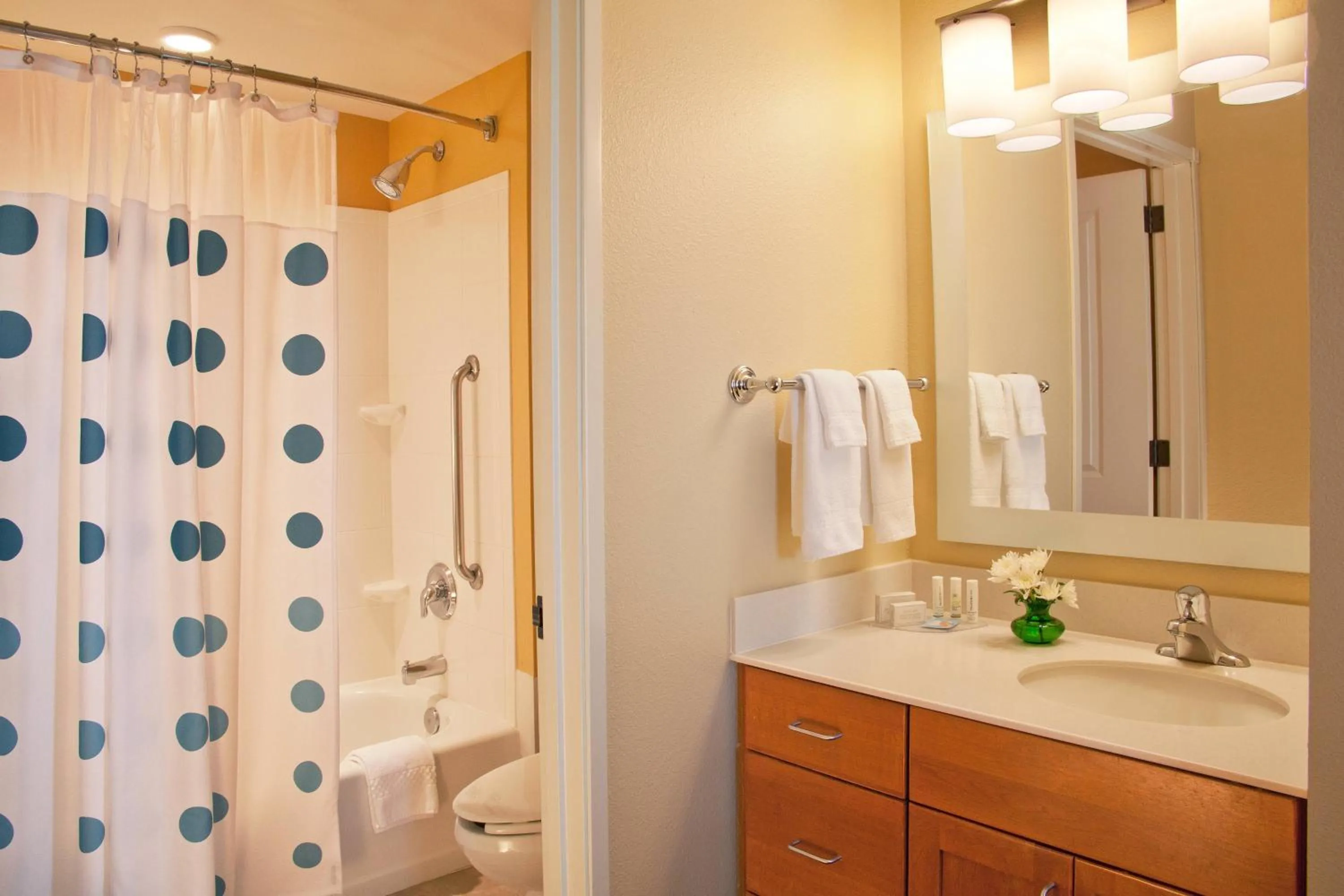 Bathroom in TownePlace Suites Medford