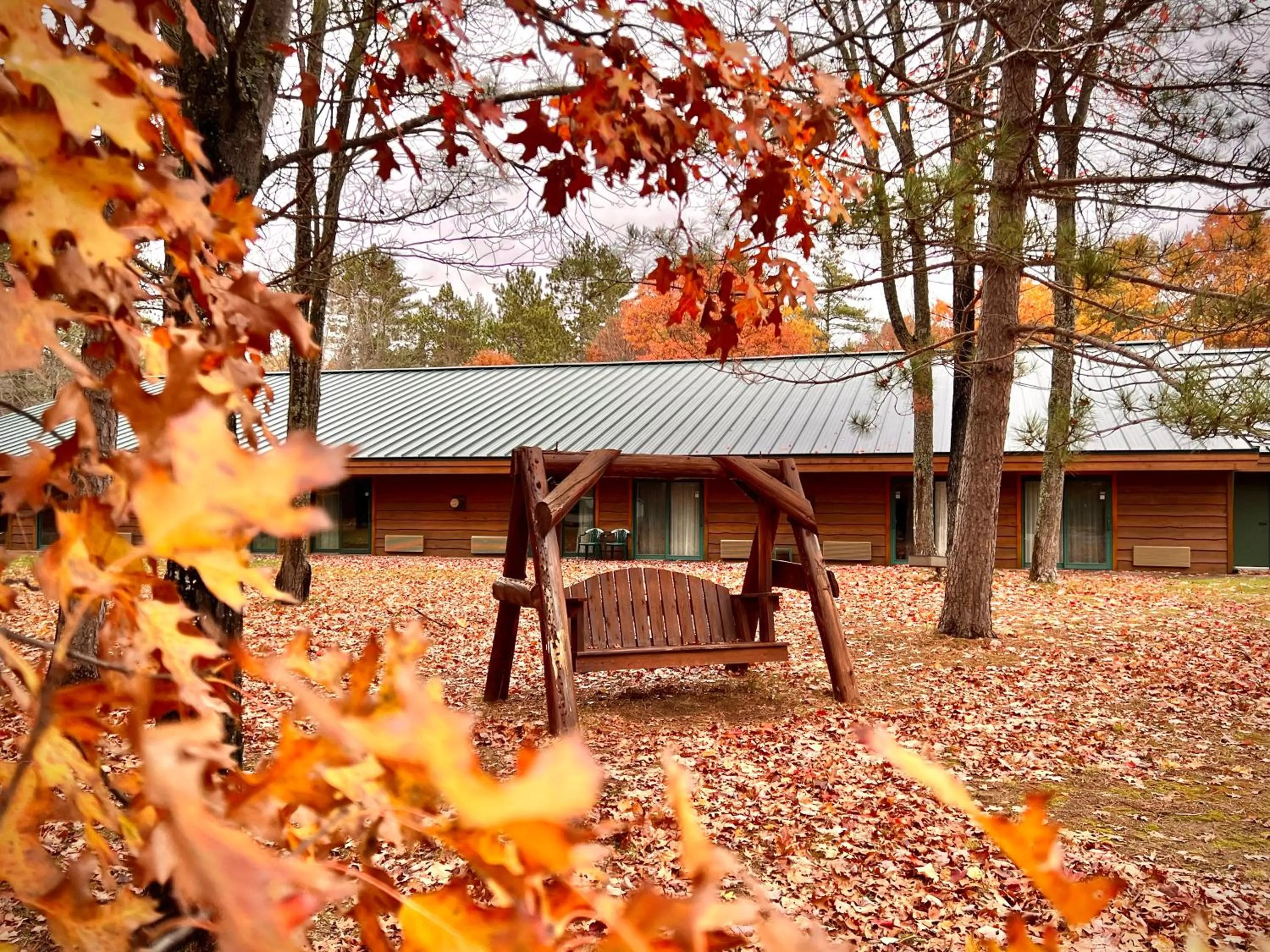 Property building in Whitetail Lodge