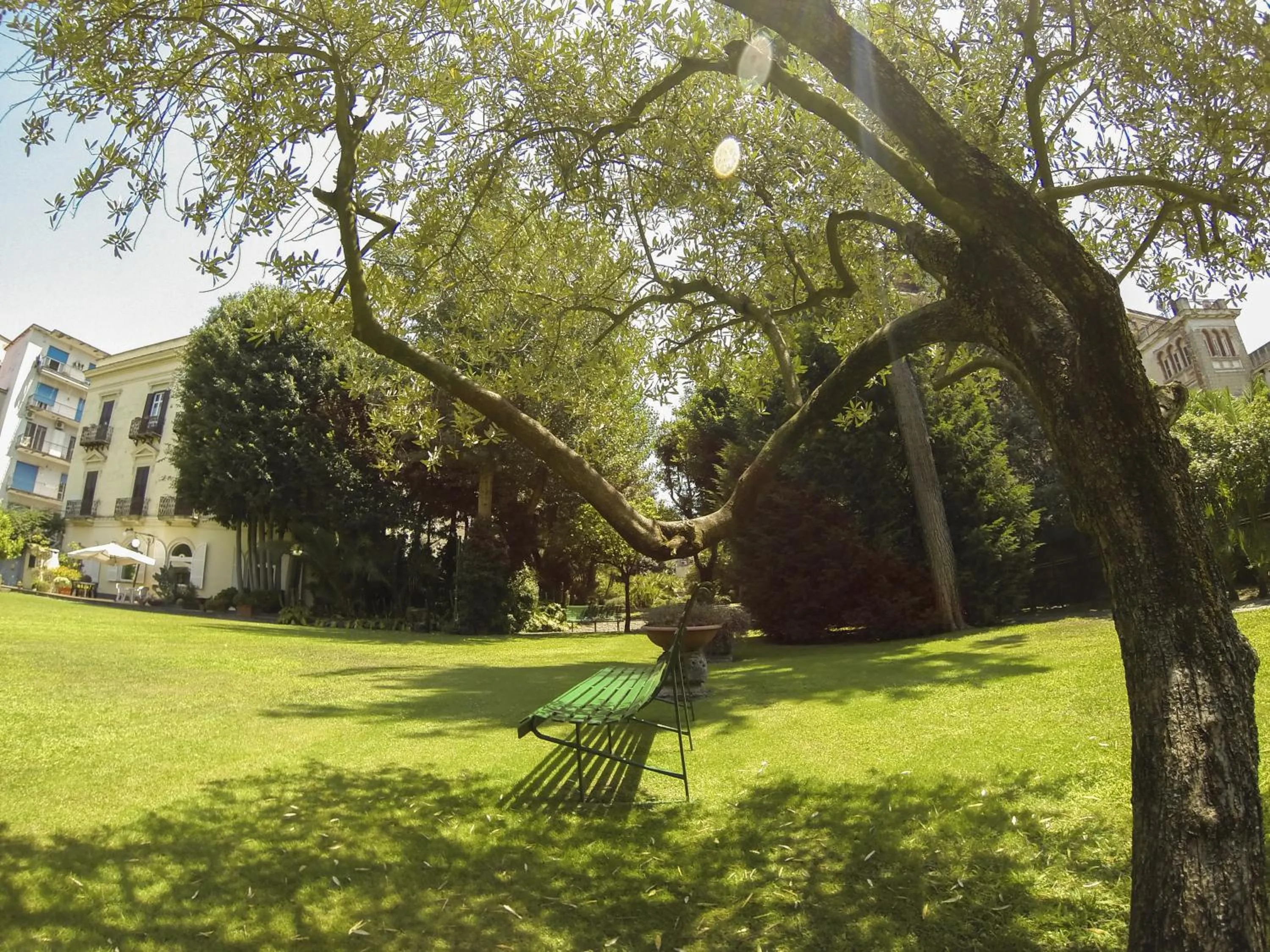 Day in B&B Villa Ocsia