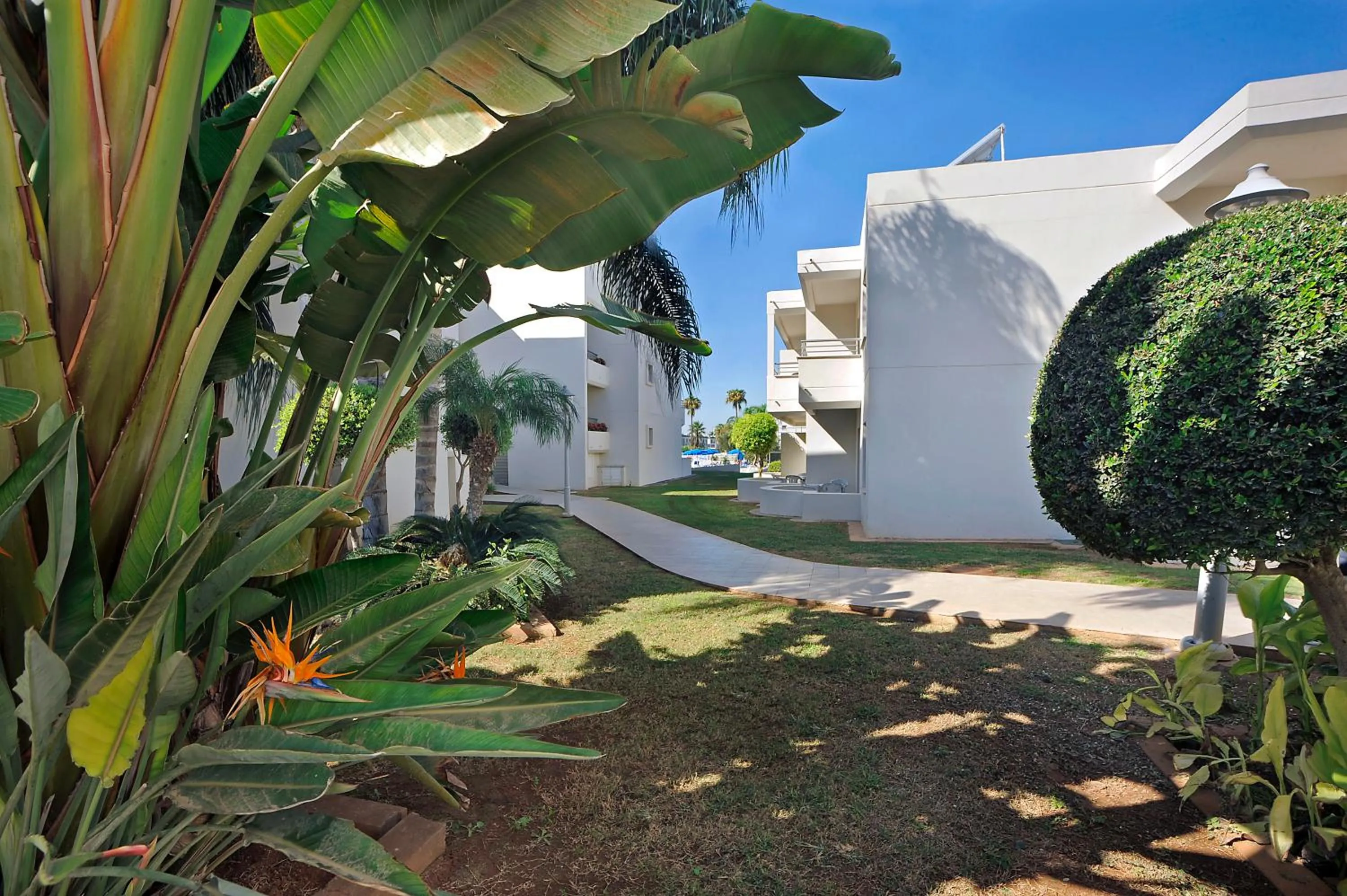 Property building in Euronapa Hotel Apartments