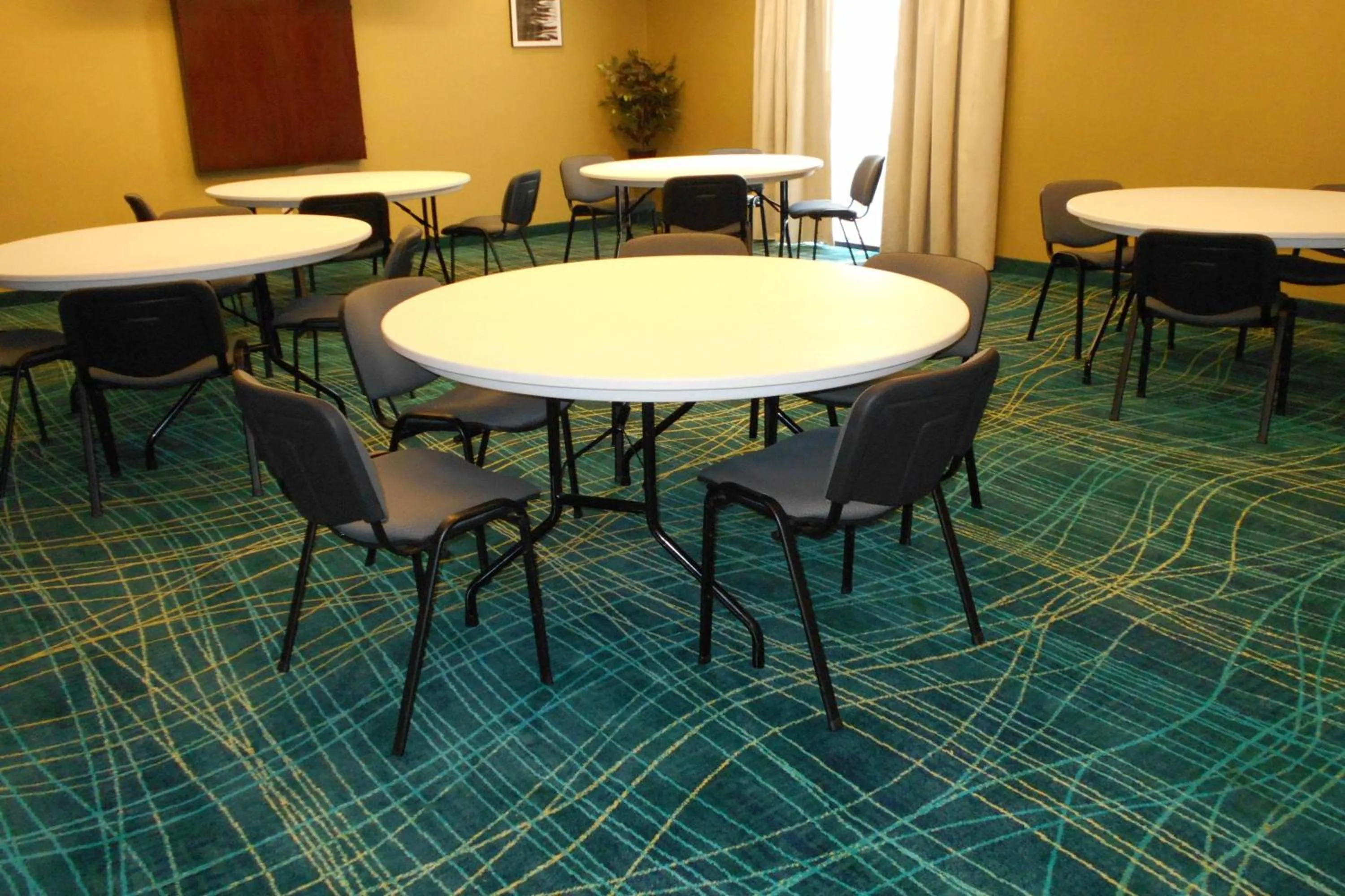 Meeting/conference room in SpringHill Suites by Marriott Morgantown