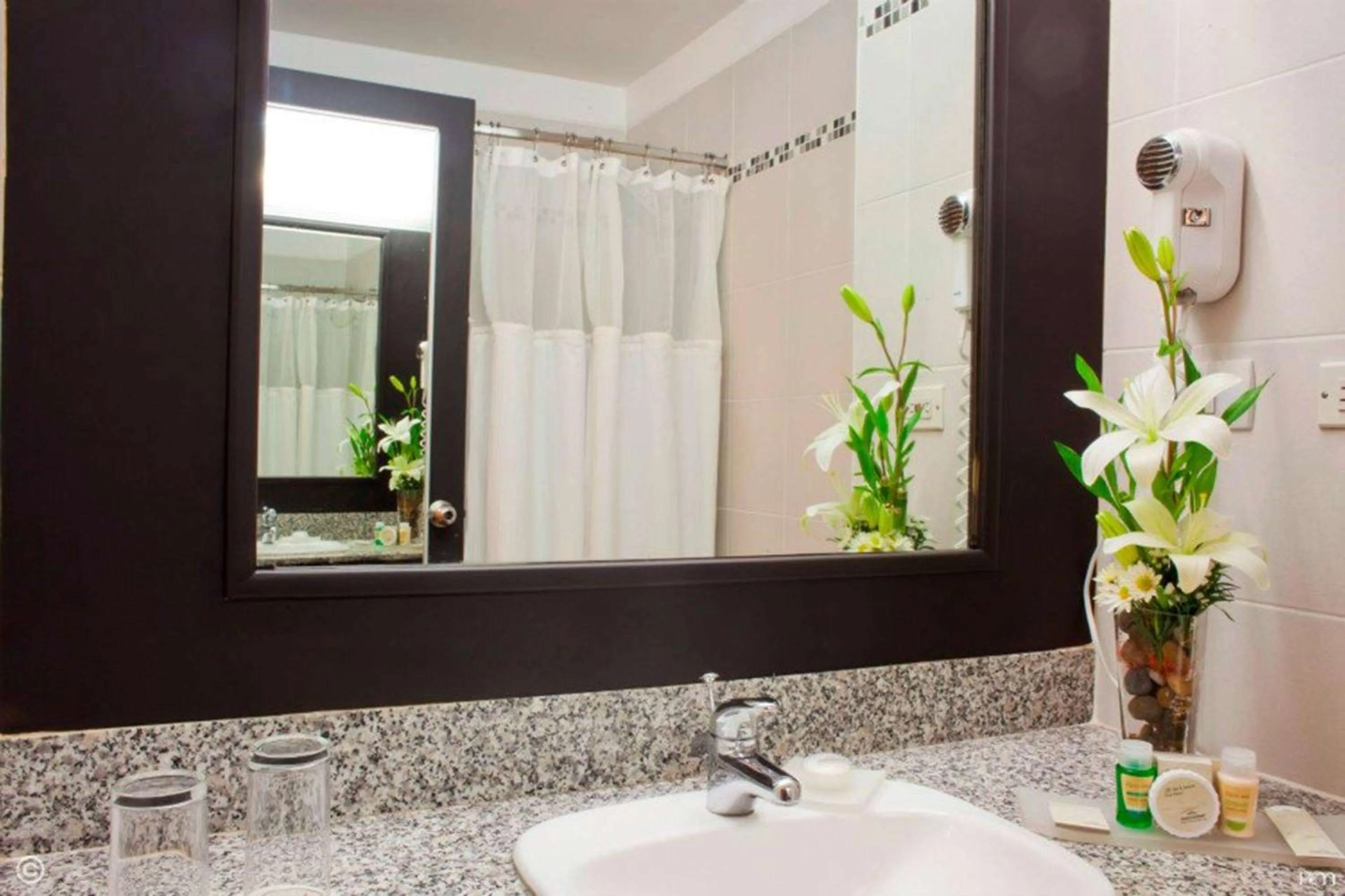 Photo of the whole room in Wyndham Garden Guayaquil