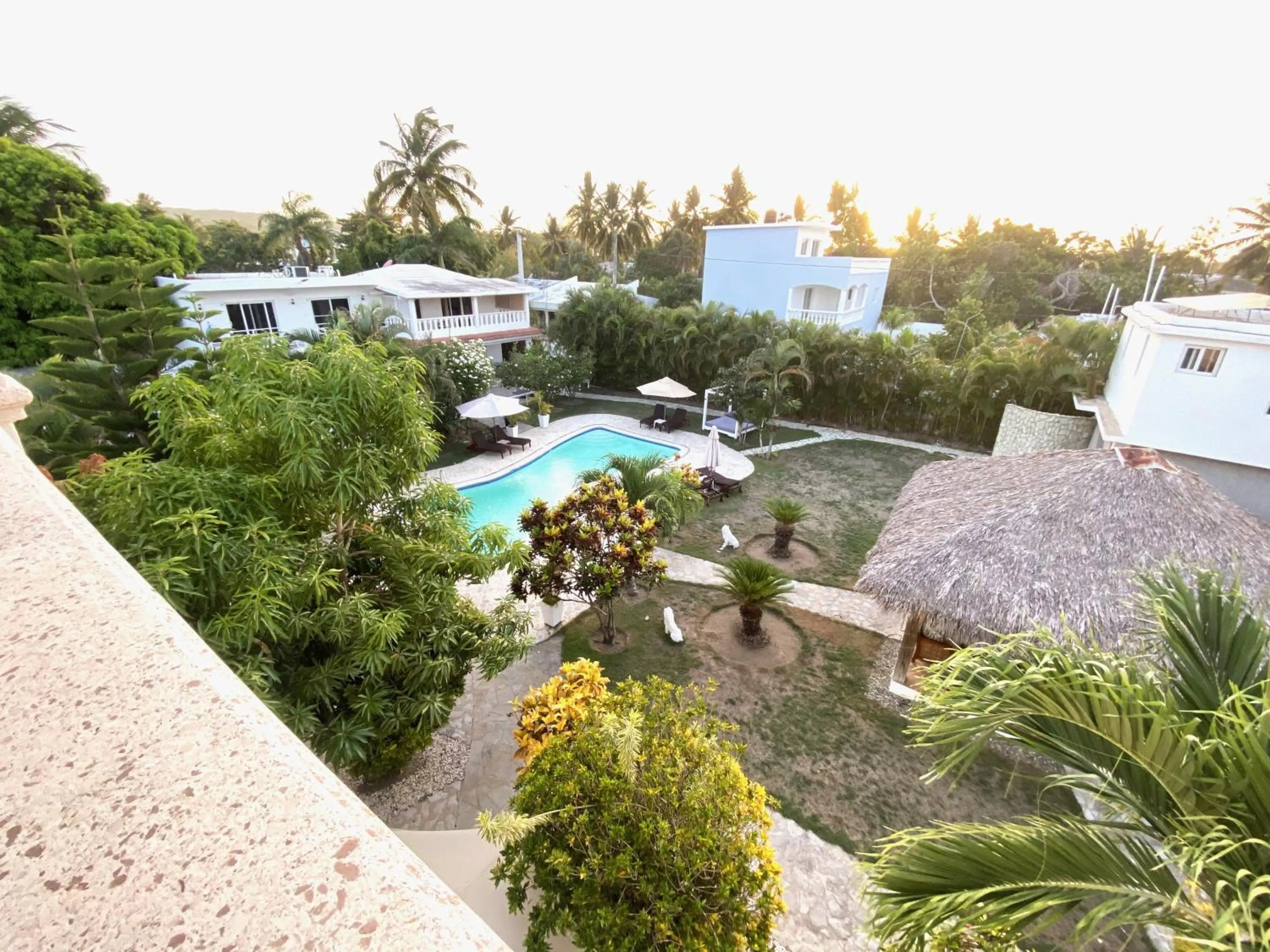 Garden in Diamond Hotel Cabarete