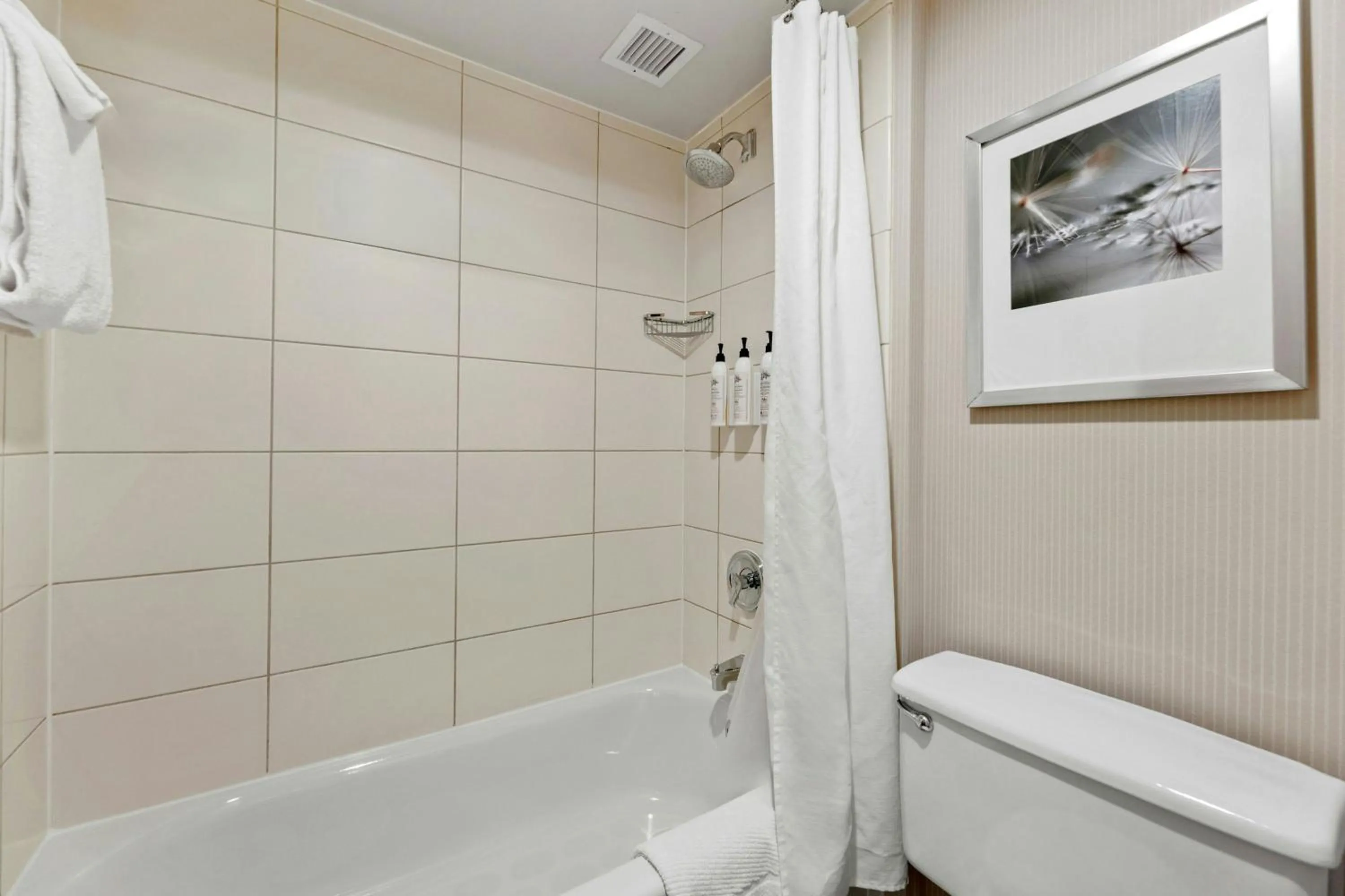 Bathroom in Delta Hotels by Marriott Mount Pleasant