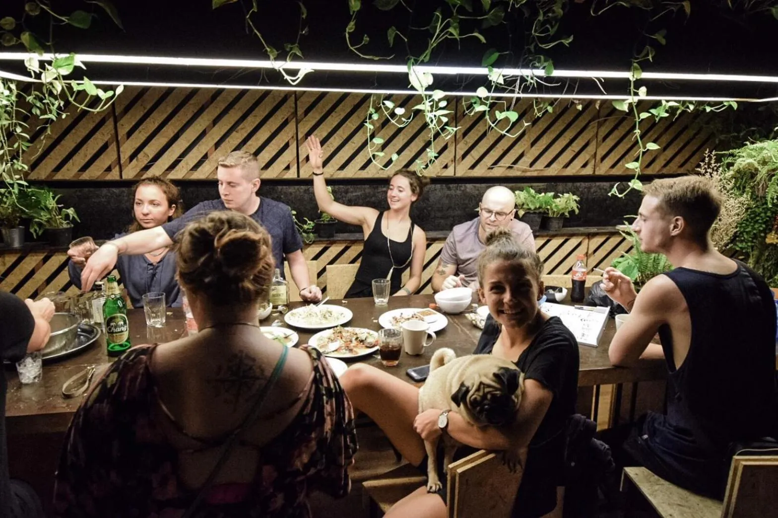 Evening entertainment in Hugger Hostel