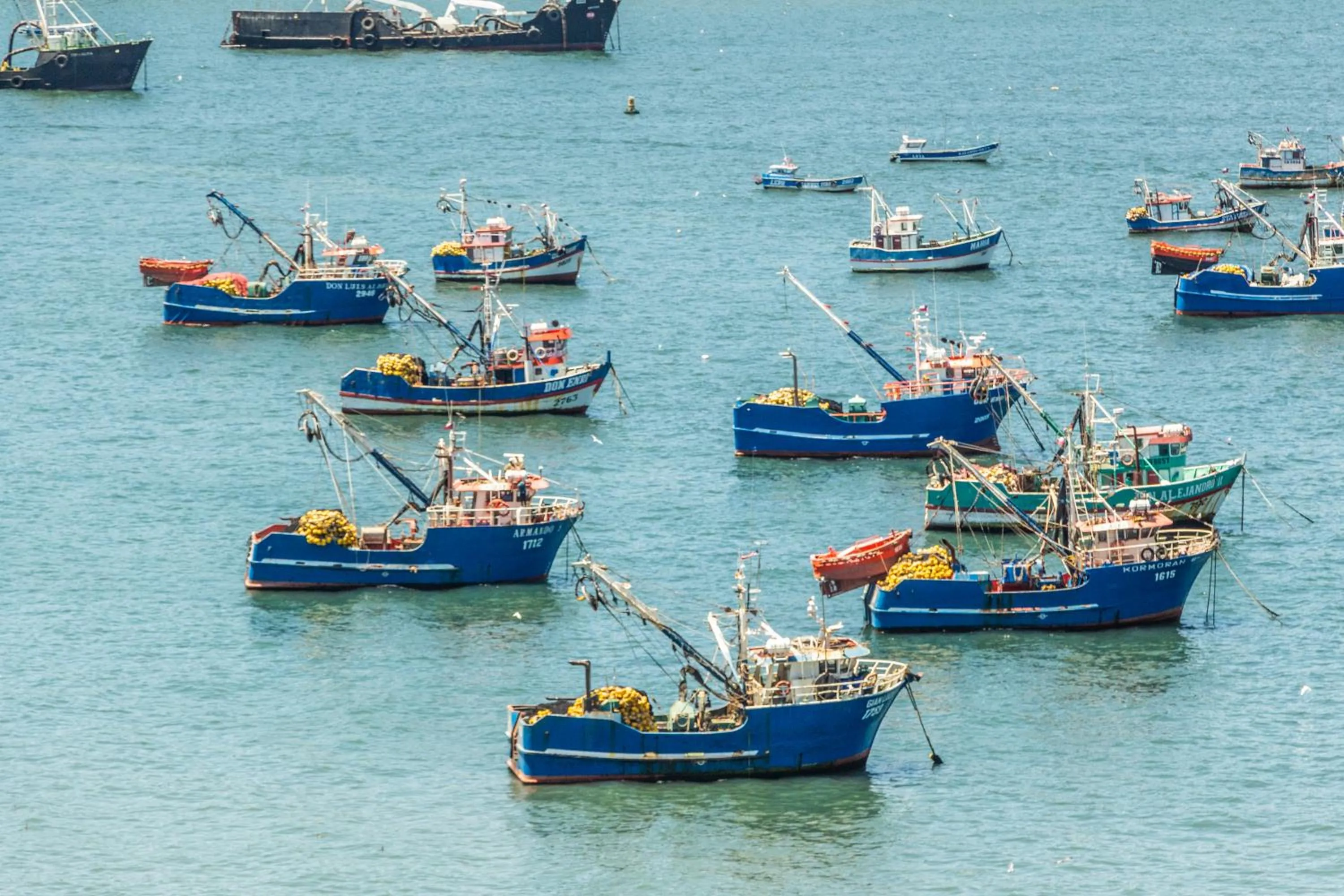 MDS Hotel Concepción