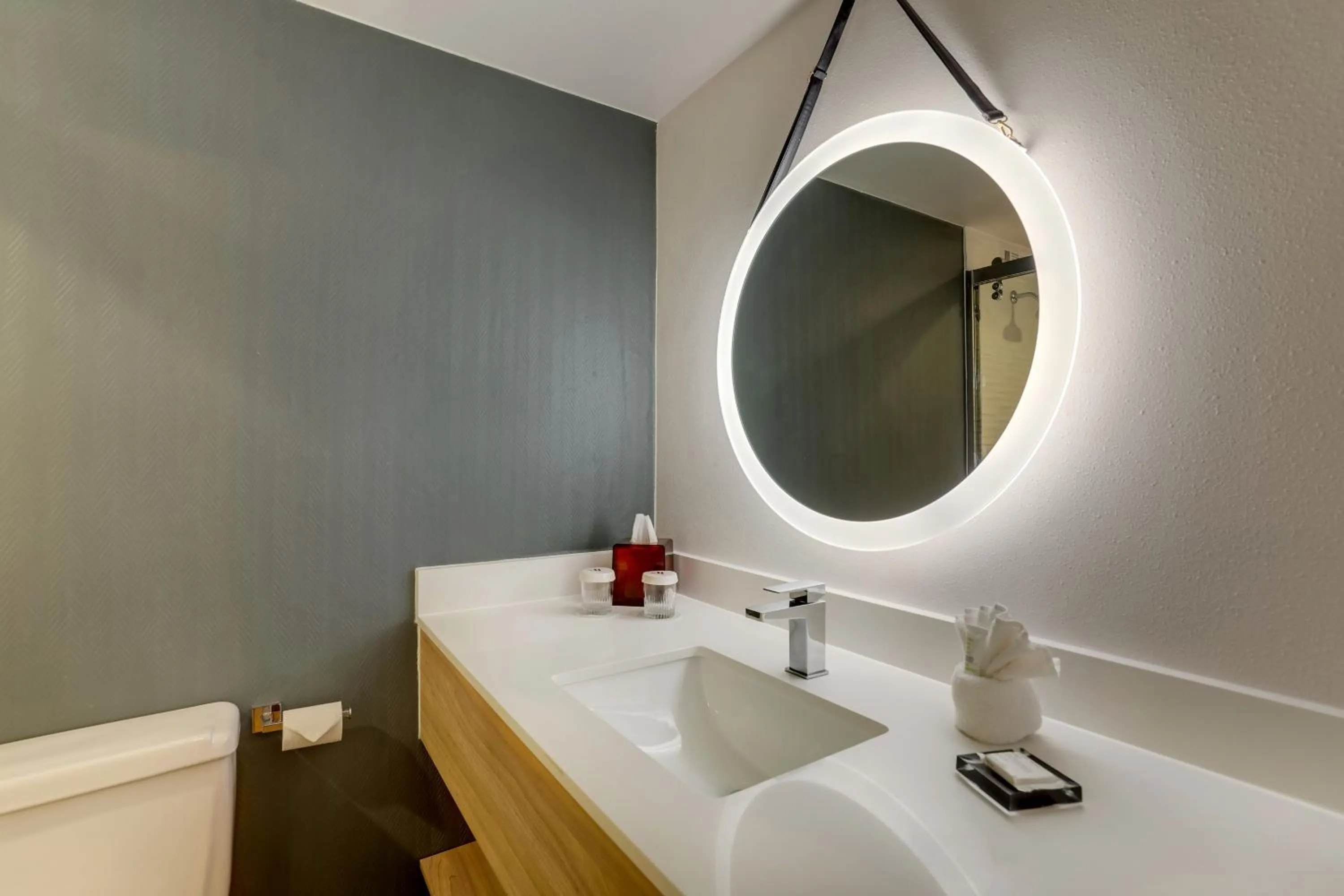 Bathroom in Mobile Marriott