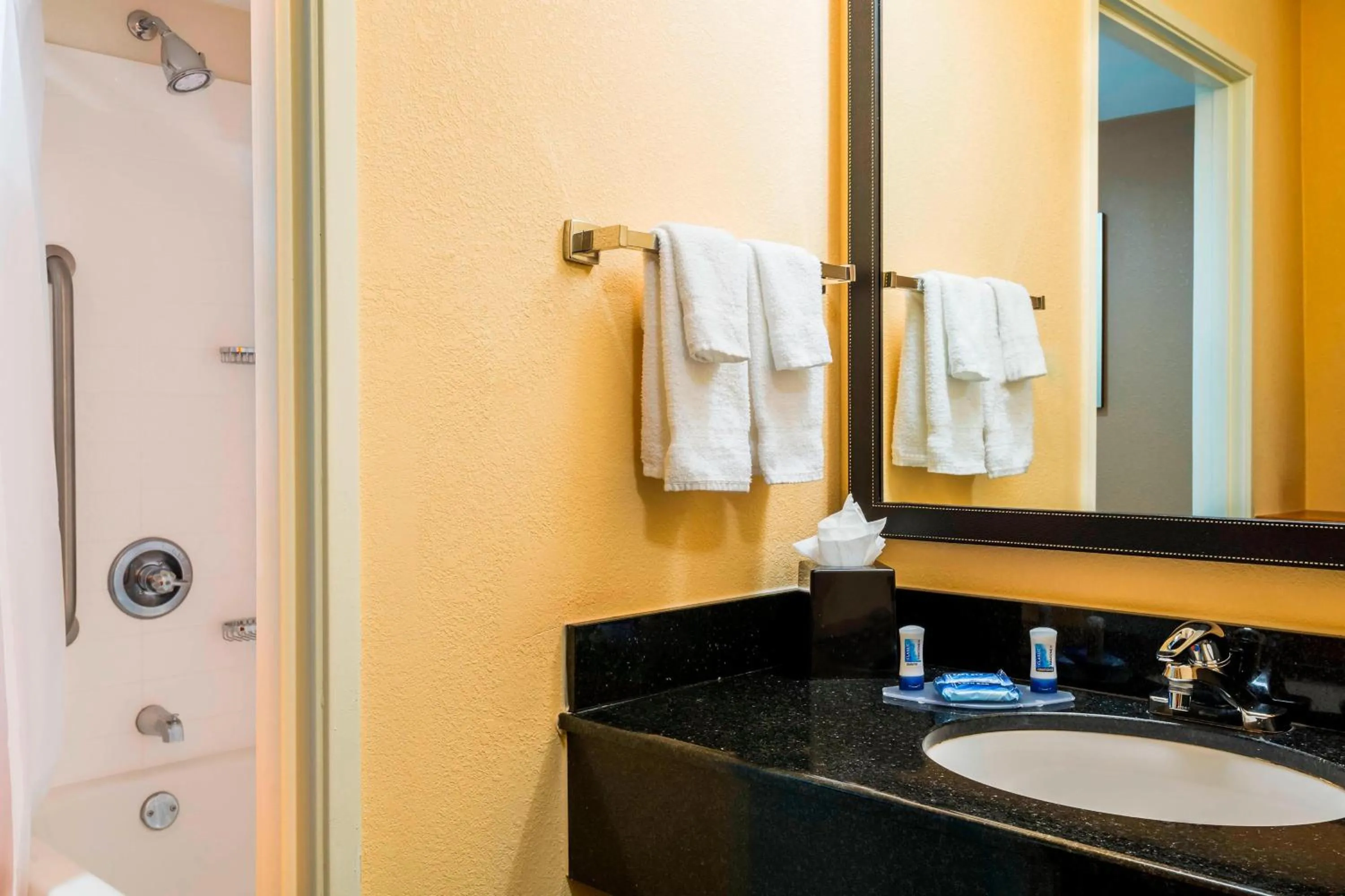 Bathroom in Fairfield Inn and Suites Mobile