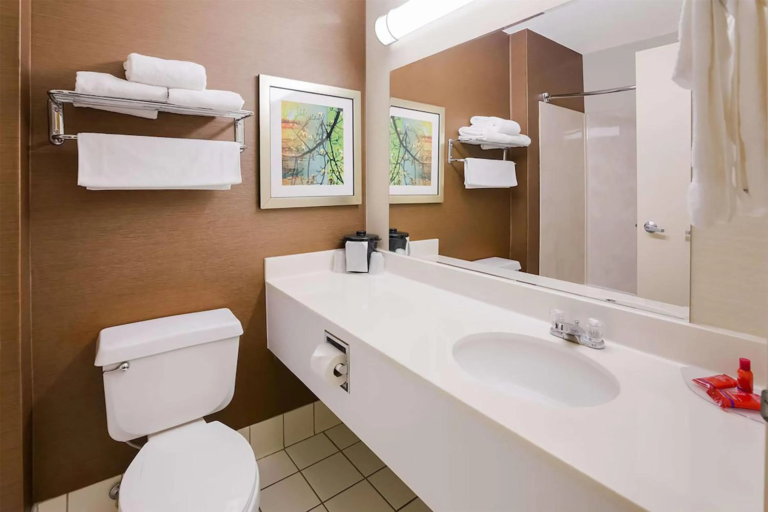 Bathroom in AmericInn by Wyndham Minot