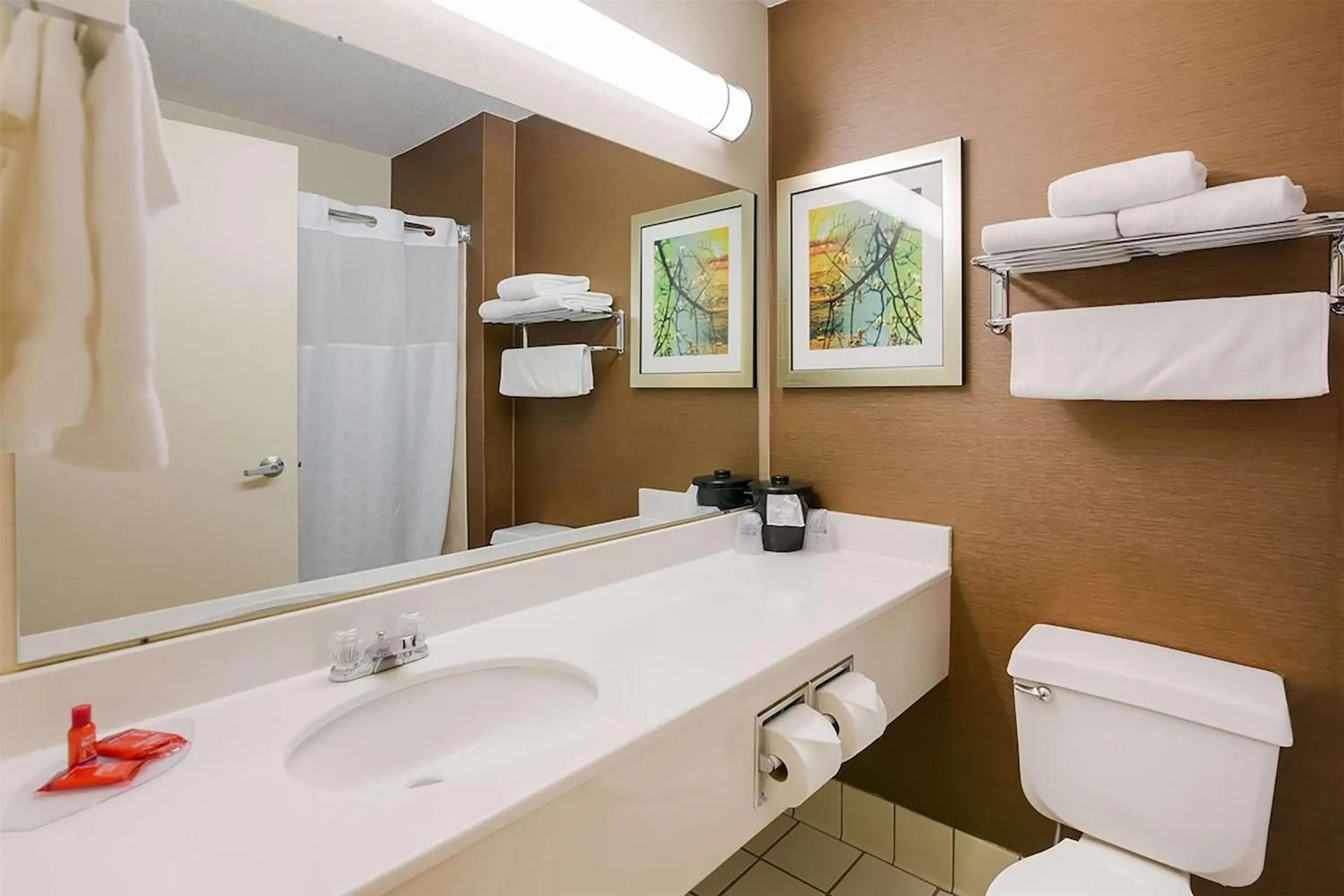Bathroom in AmericInn by Wyndham Minot