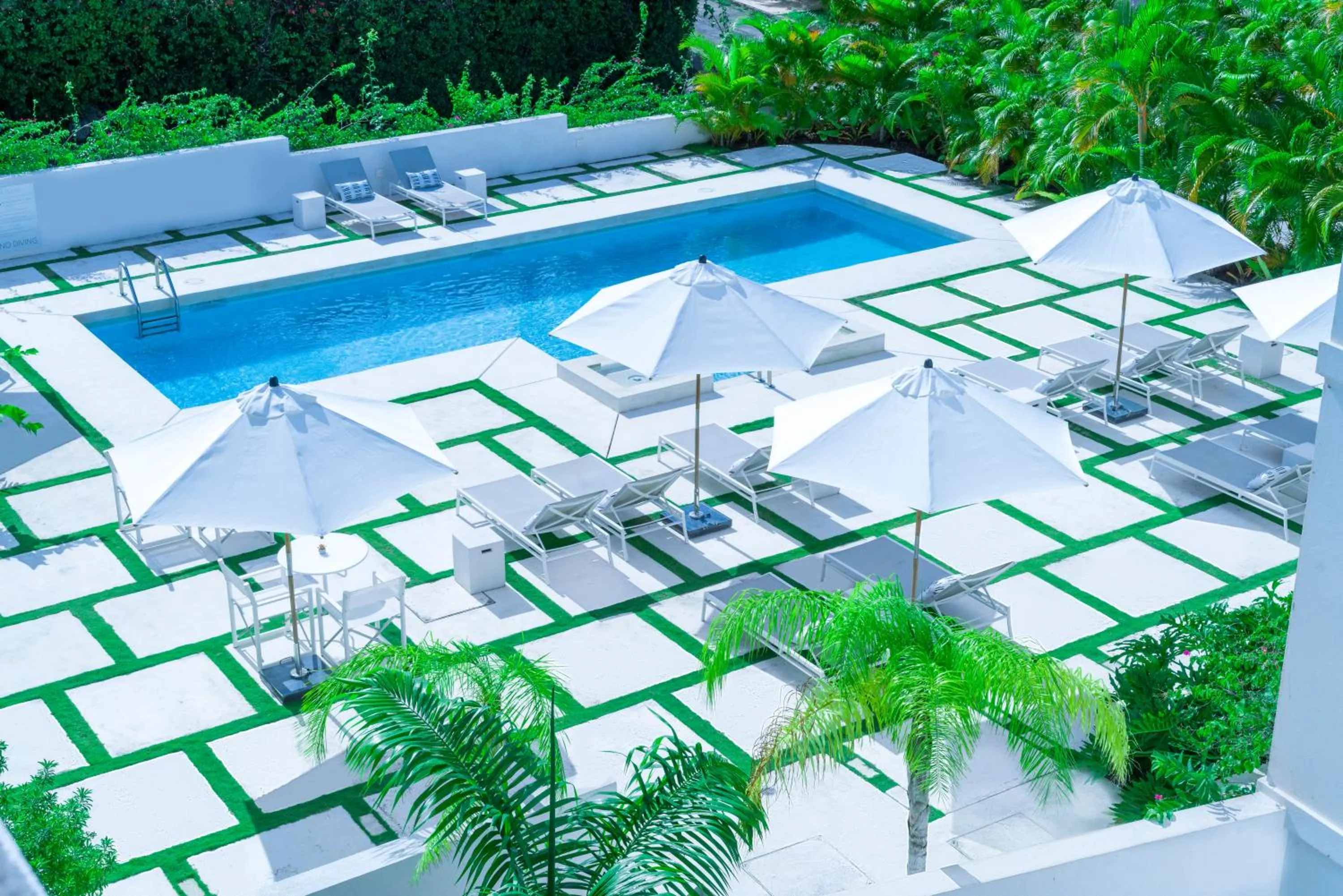 Day in Mullins Grove